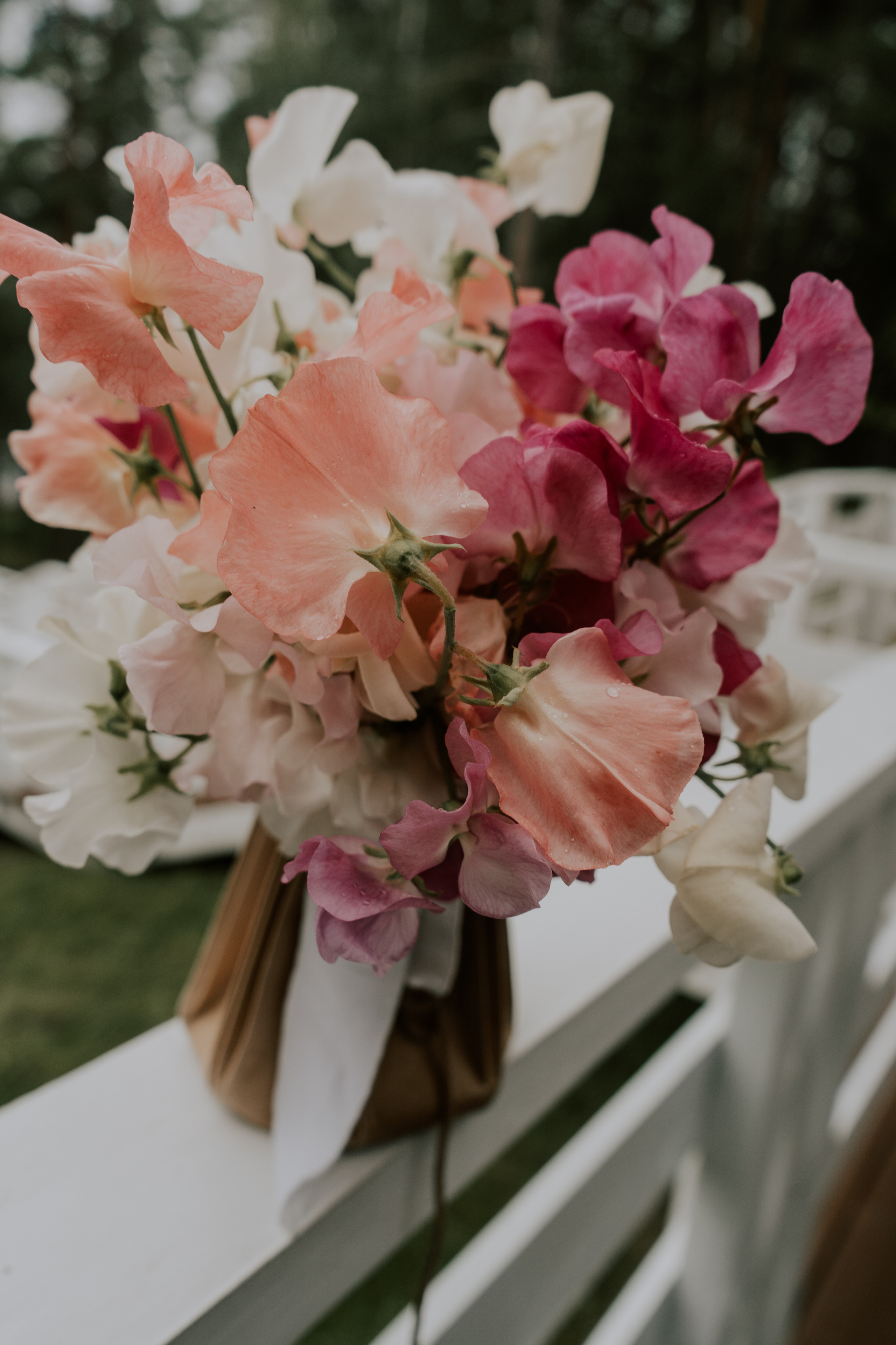 Elegante India Иван & Ольга 04.08. Love & Live photographer Злата Акимова