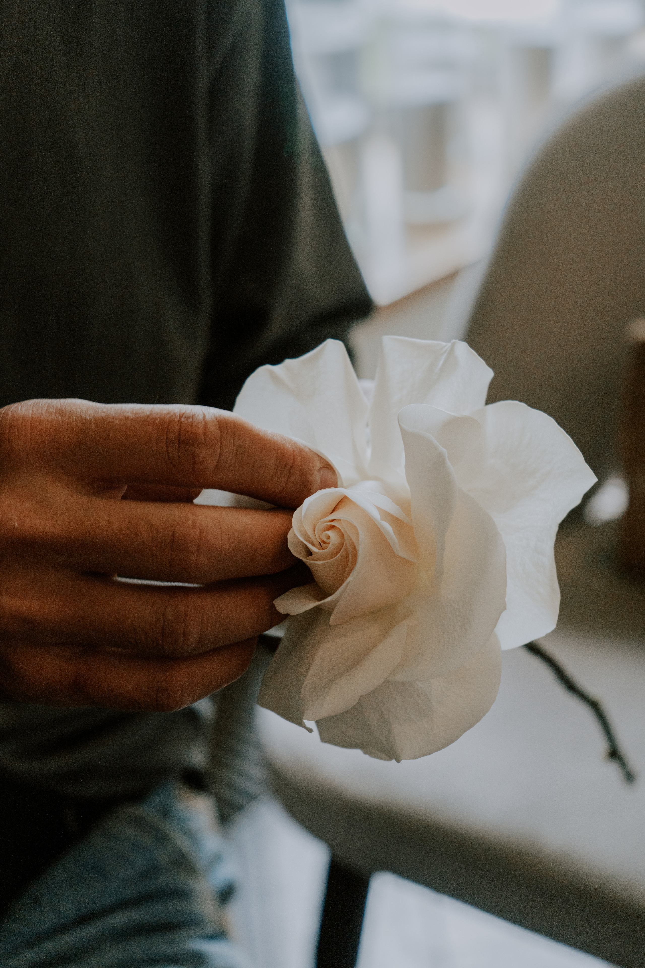 Verde e bianco 01.09 @Pro.Sto.Decor mzerest.com. Love & Live photographer Злата Акимова