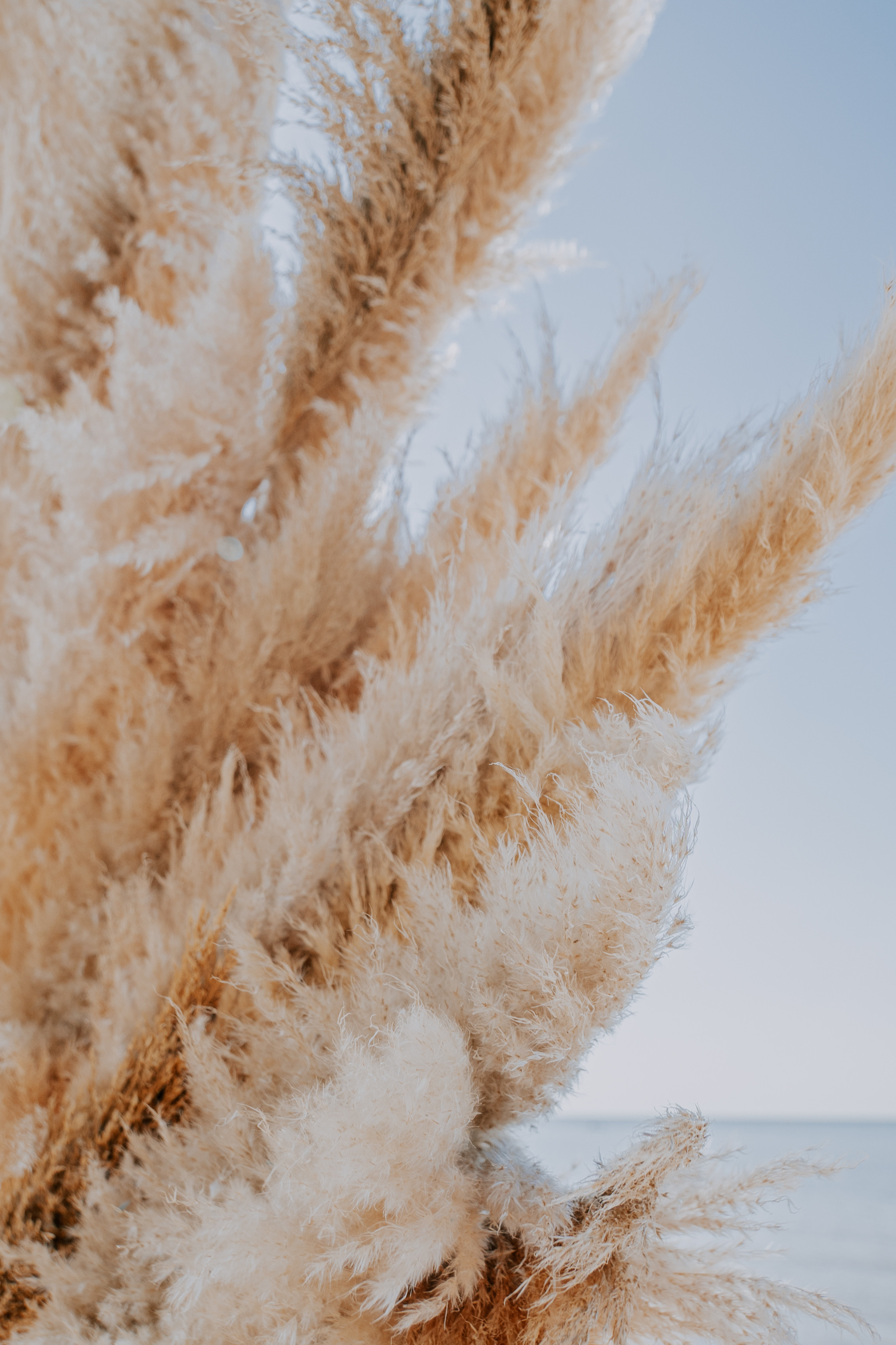 Costa soleggiata 09.09 @Julie_vershinia bazakomandor.ru. Love & Live photographer Злата Акимова