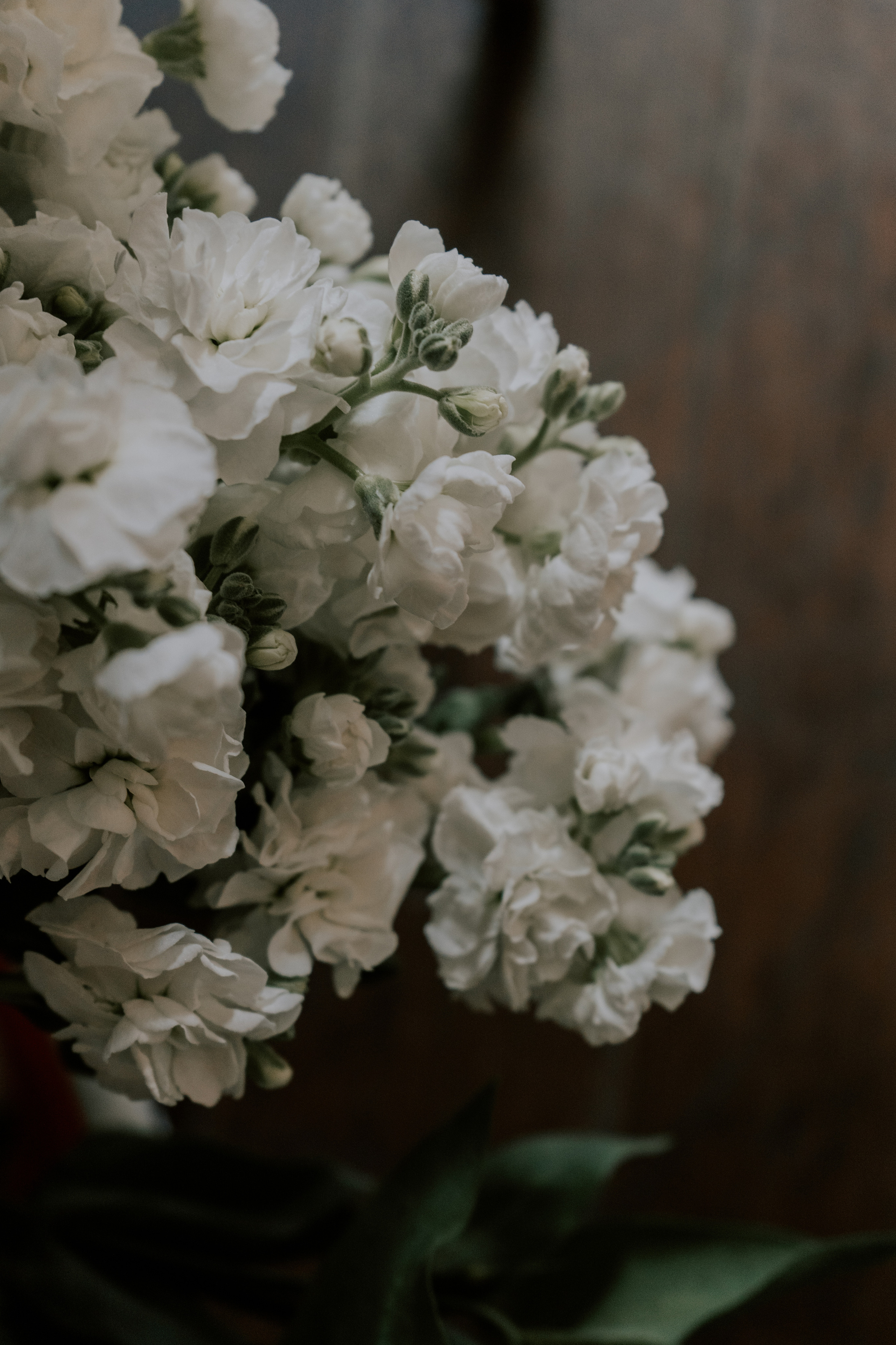 Verde e bianco 01.09 @Pro.Sto.Decor mzerest.com. Love & Live photographer Злата Акимова