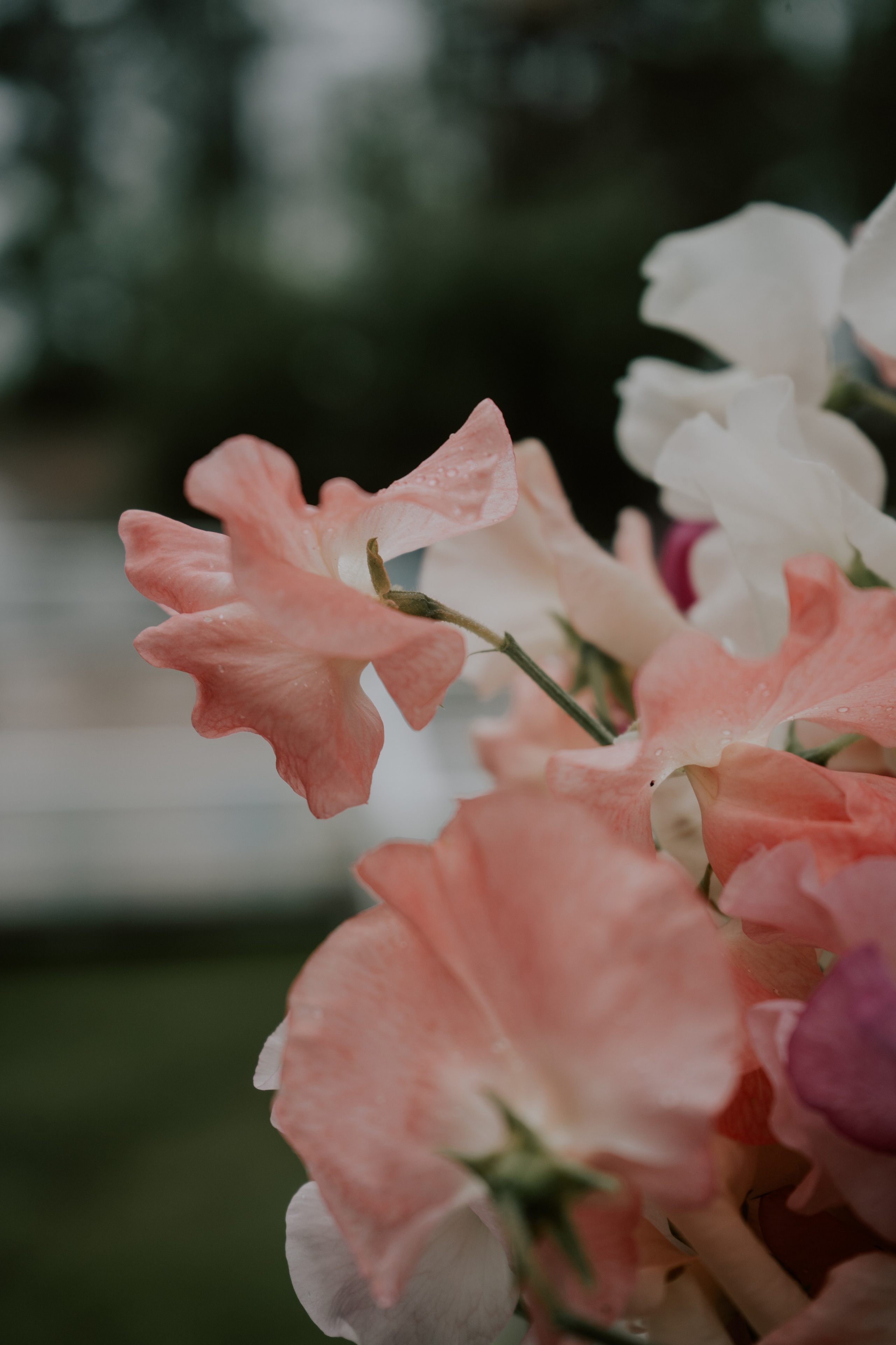 Elegante India Иван & Ольга 04.08. Love & Live photographer Злата Акимова