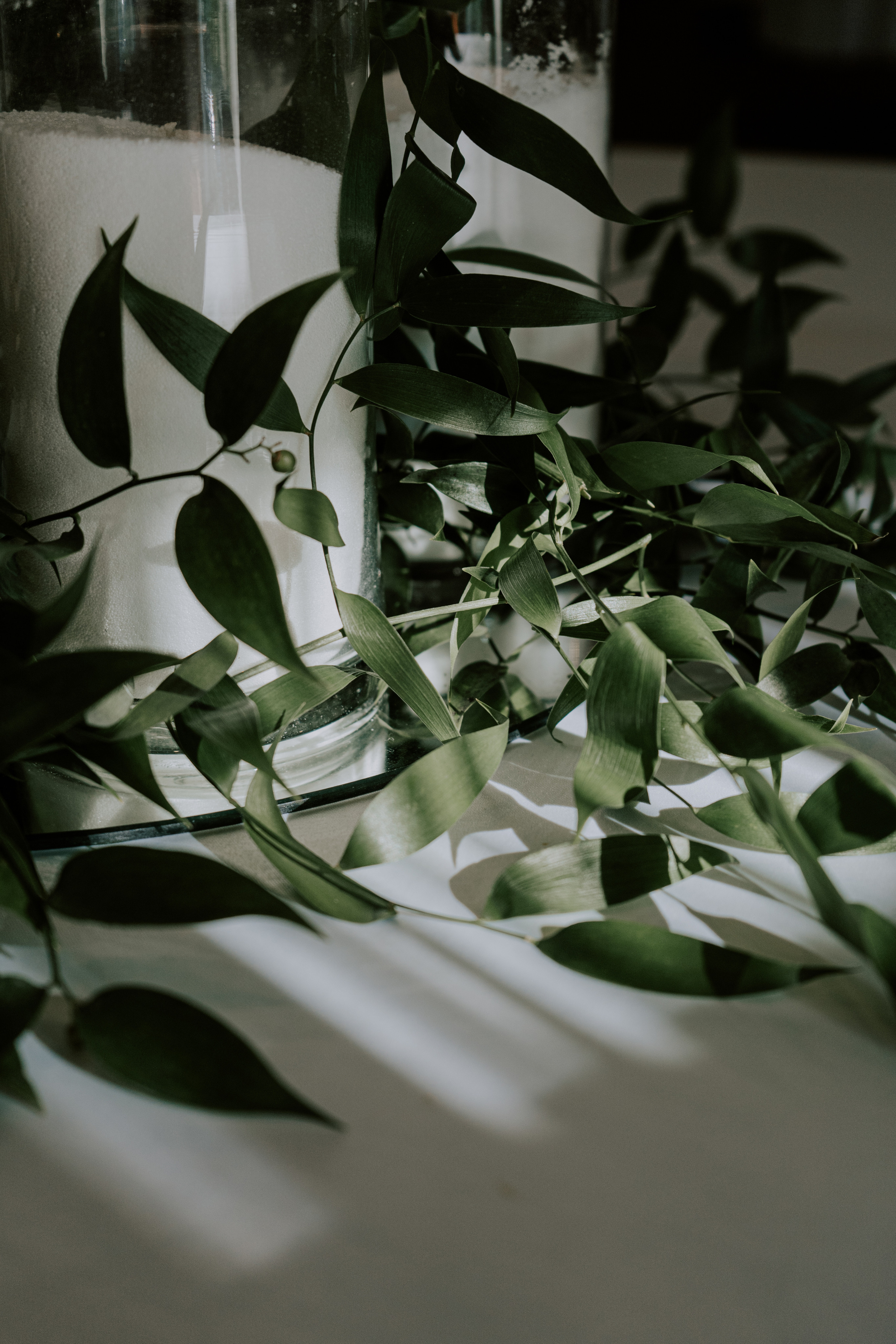 Verde e bianco 01.09 @Pro.Sto.Decor mzerest.com. Love & Live photographer Злата Акимова