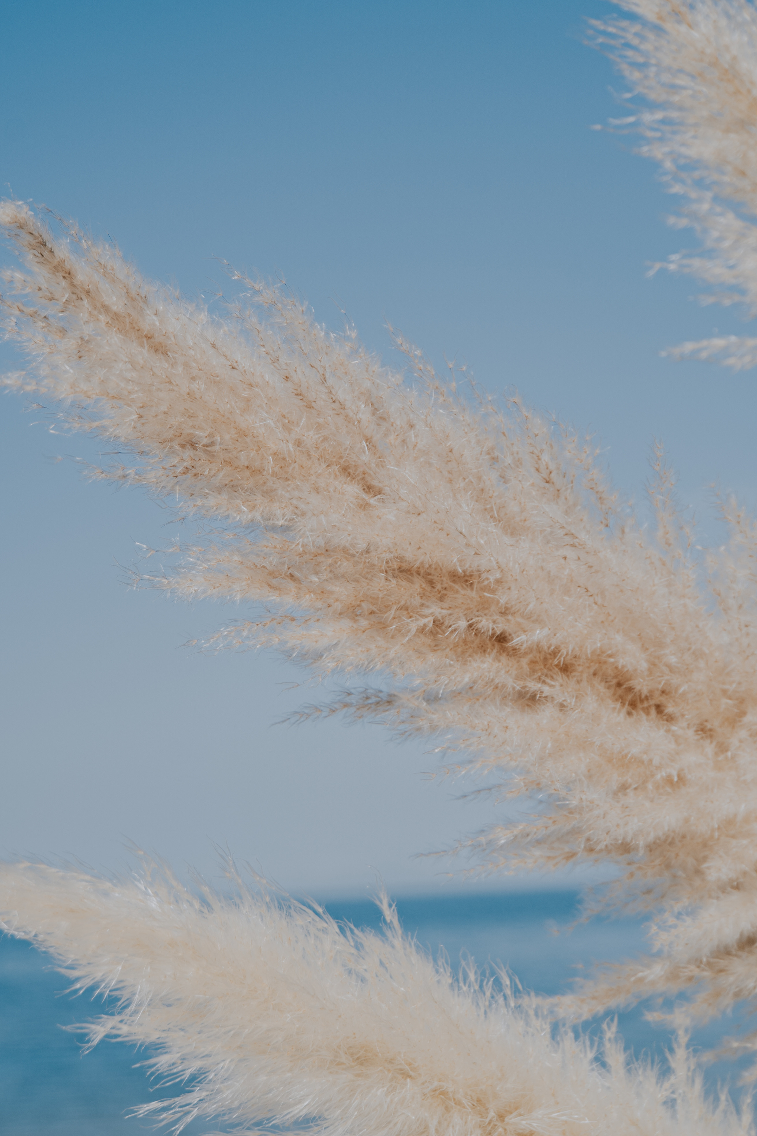 Costa soleggiata 09.09 @Julie_vershinia bazakomandor.ru. Love & Live photographer Злата Акимова