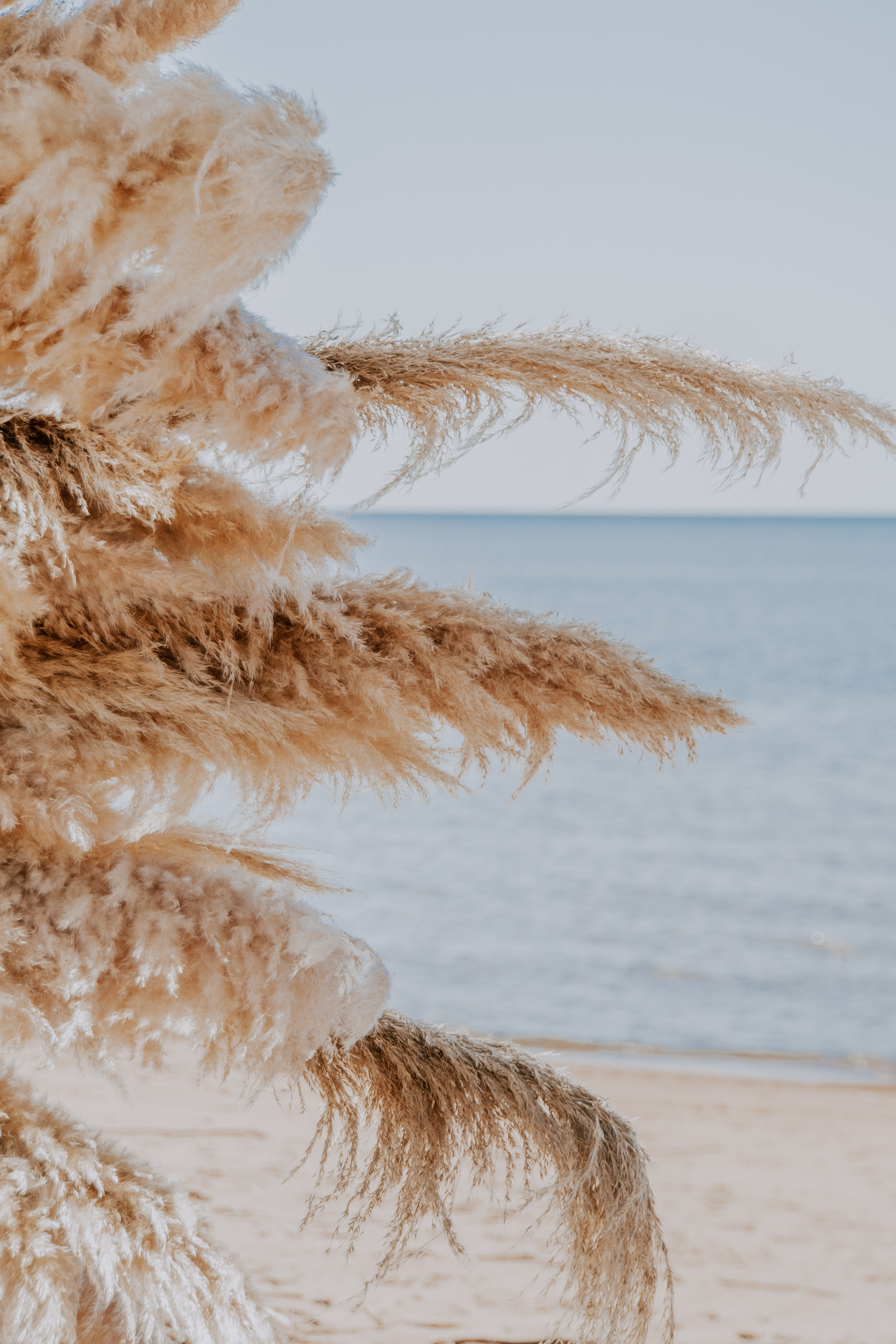 Costa soleggiata 09.09 @Julie_vershinia bazakomandor.ru. Love & Live photographer Злата Акимова