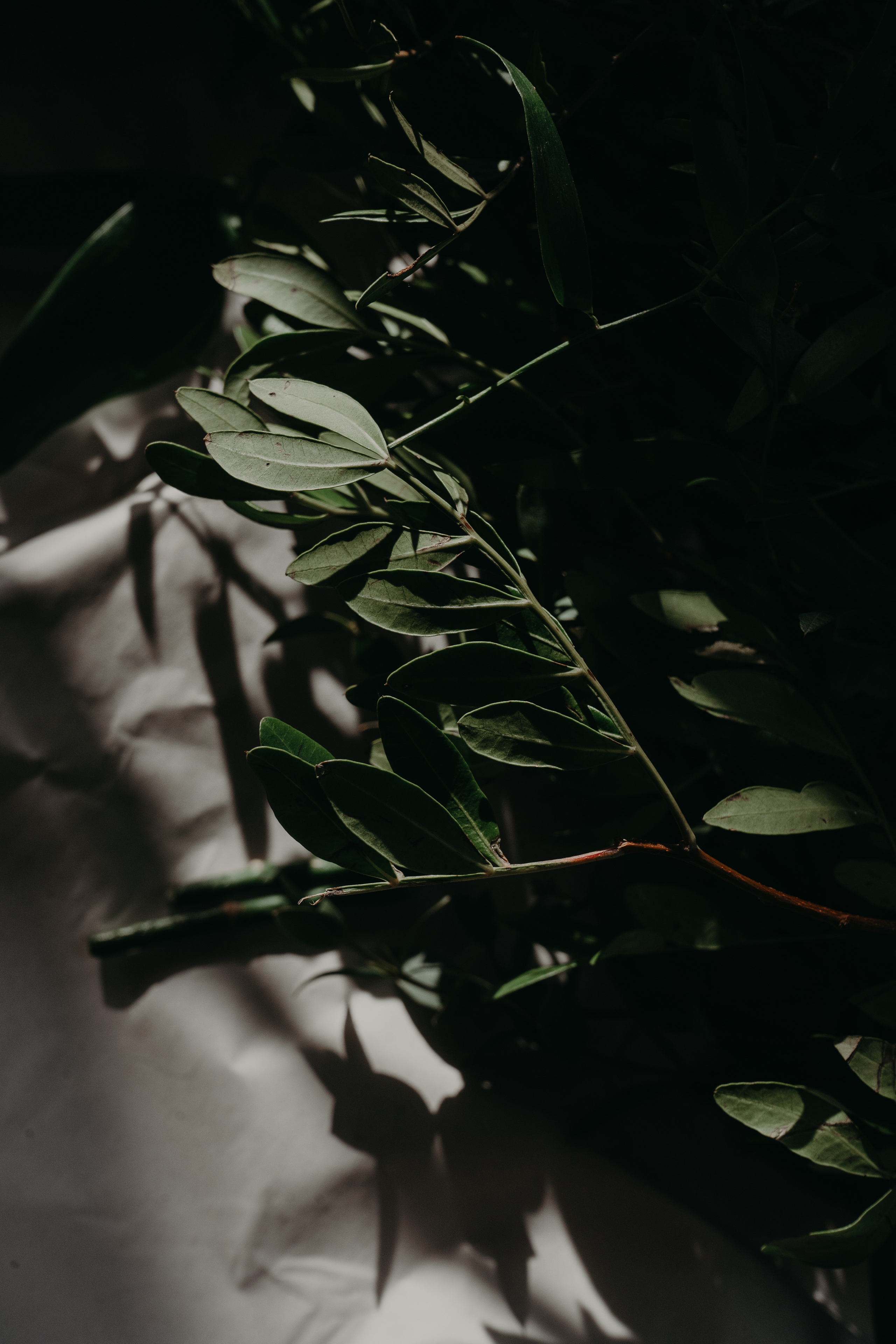 Matrimonio Bordeaux 26.09 @Pro.Sto.Decor vesenniy.com. Love & Live photographer Злата Акимова