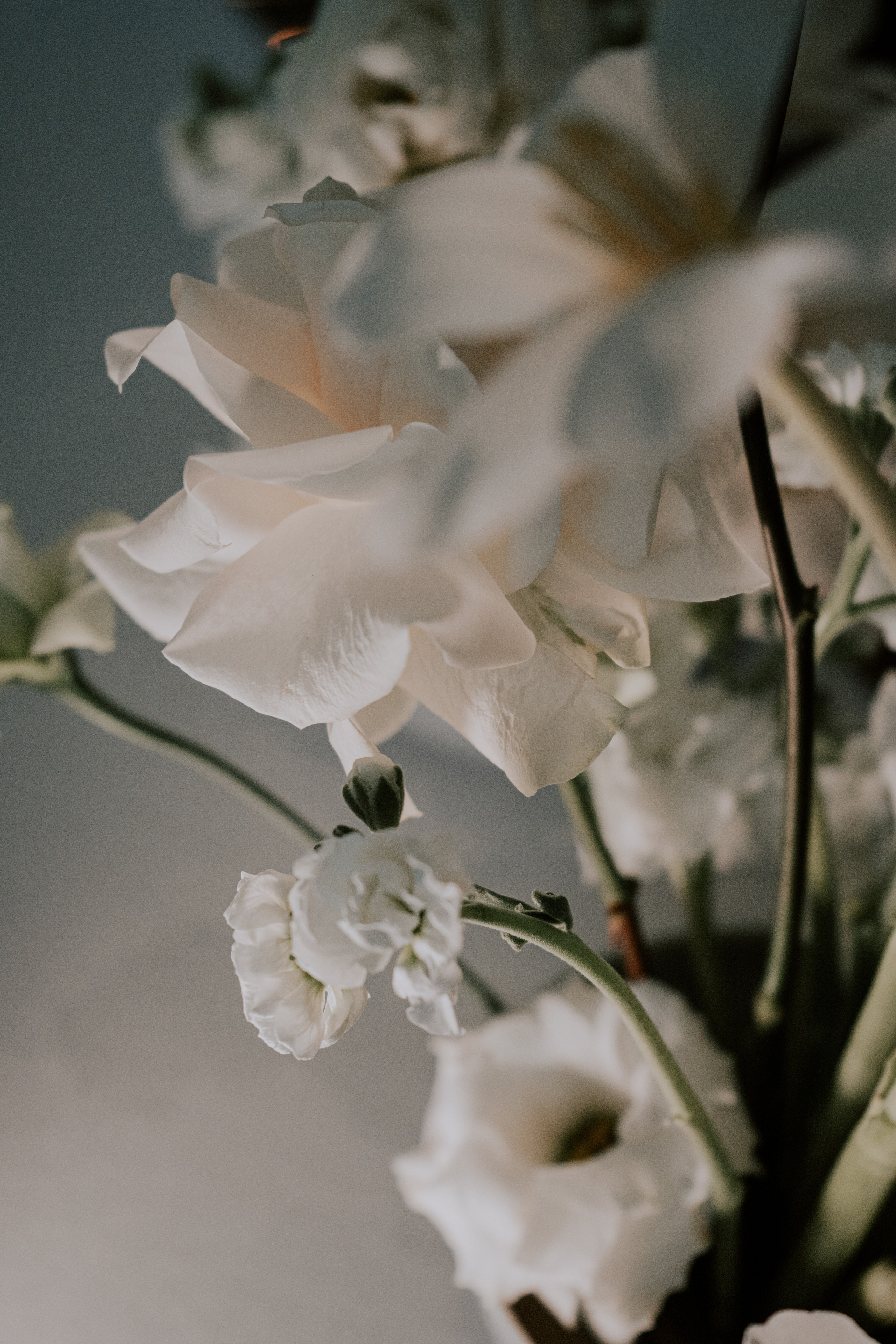 Verde e bianco 01.09 @Pro.Sto.Decor mzerest.com. Love & Live photographer Злата Акимова