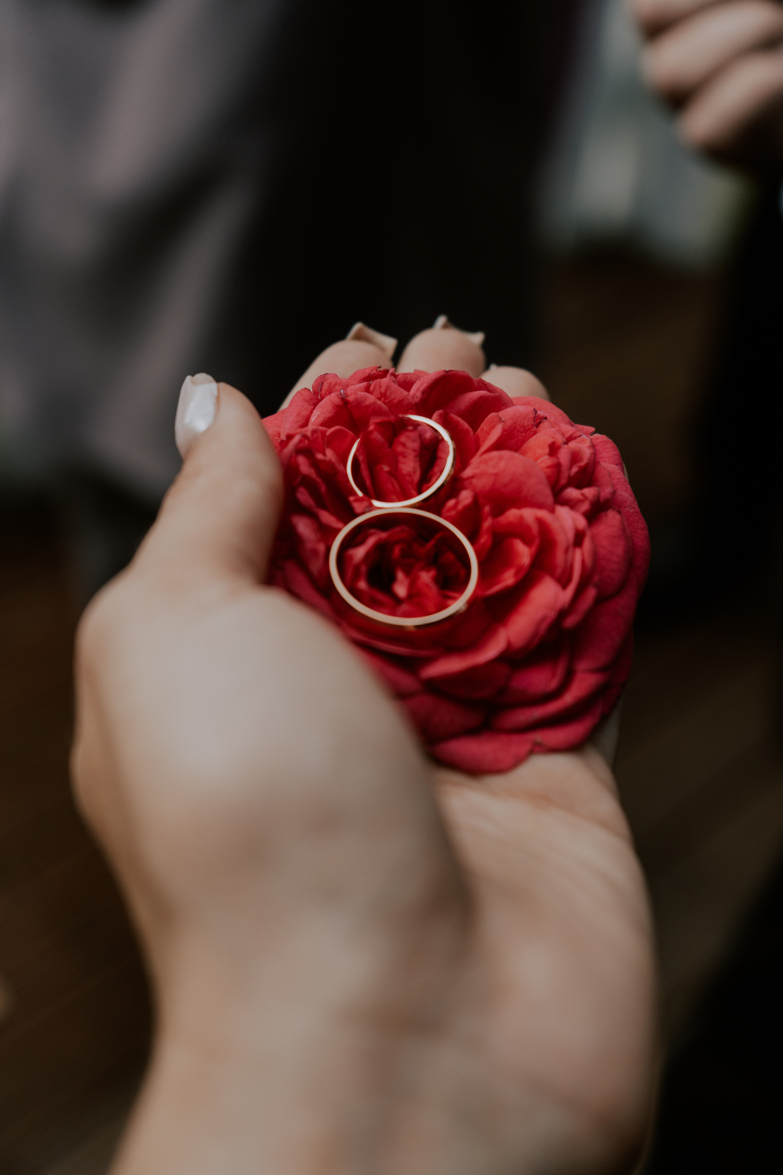 Elegante India Иван & Ольга 04.08. Love & Live photographer Злата Акимова