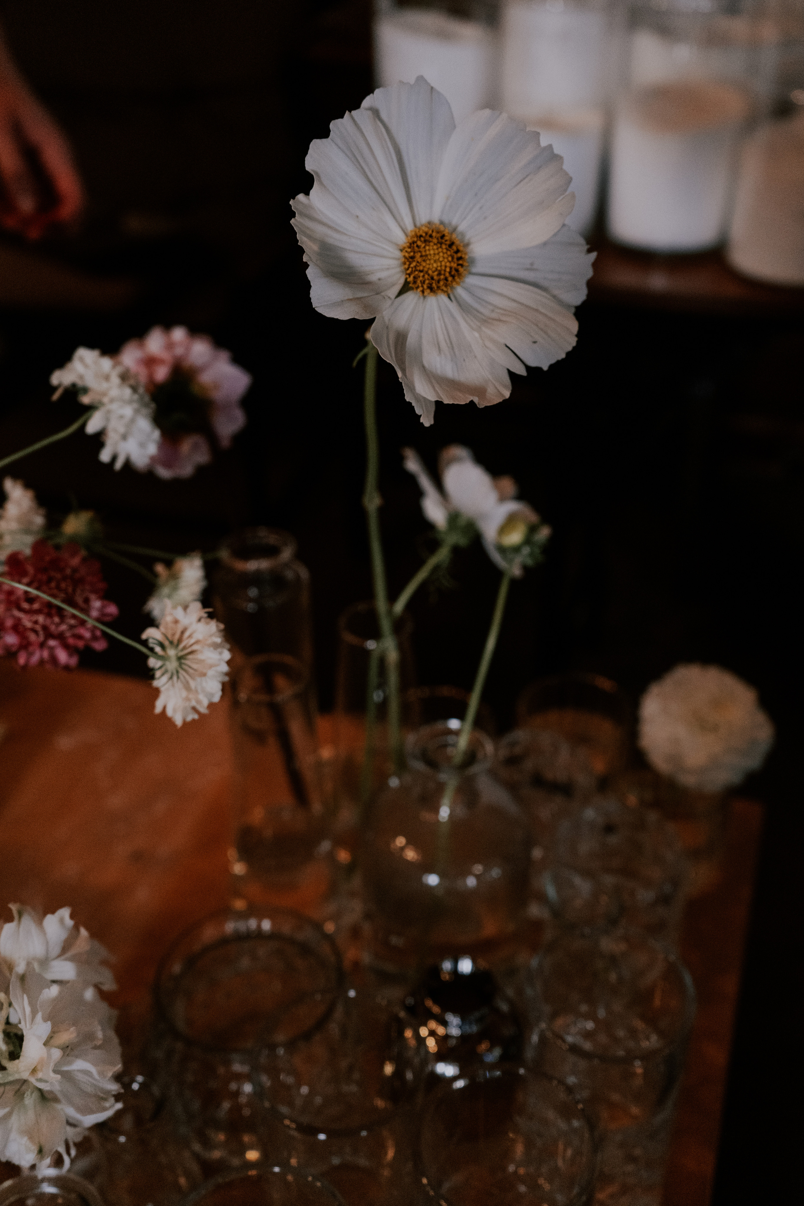 Una fetta d'Italia 26.08 @Pro.Sto.Decor brosko-loft.ru. Love & Live photographer Злата Акимова