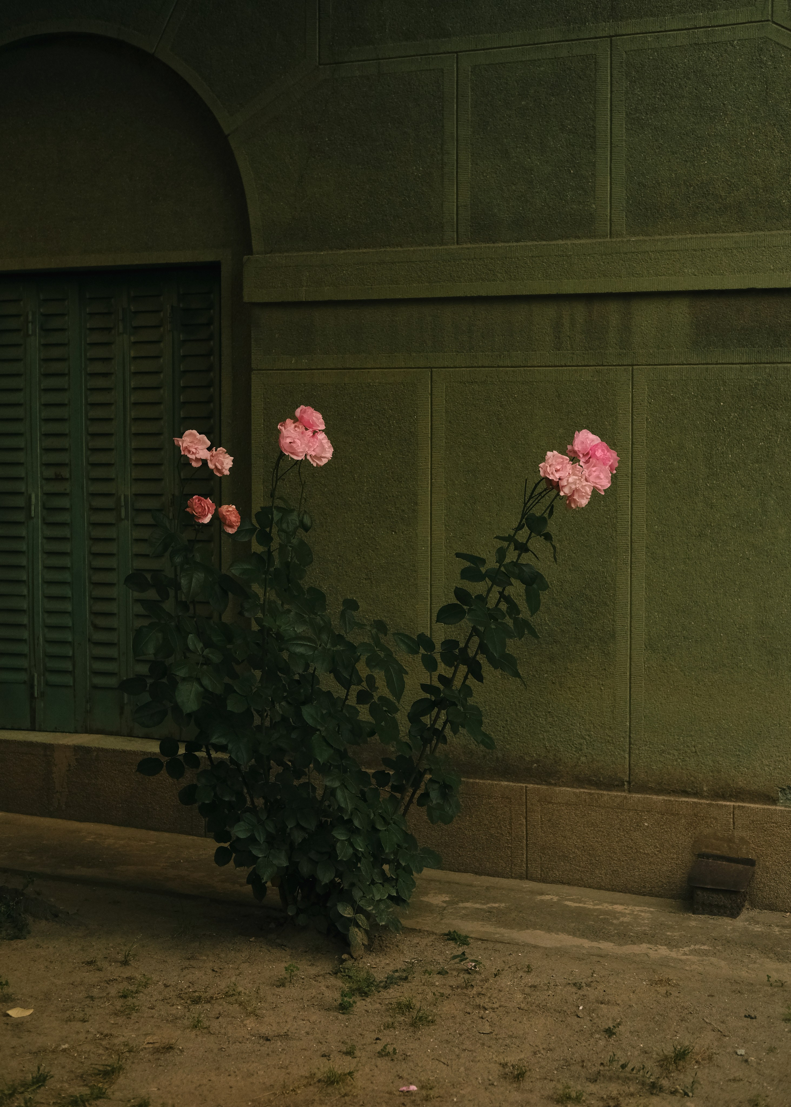 Street. Sasha Shu — retoucher and photographer