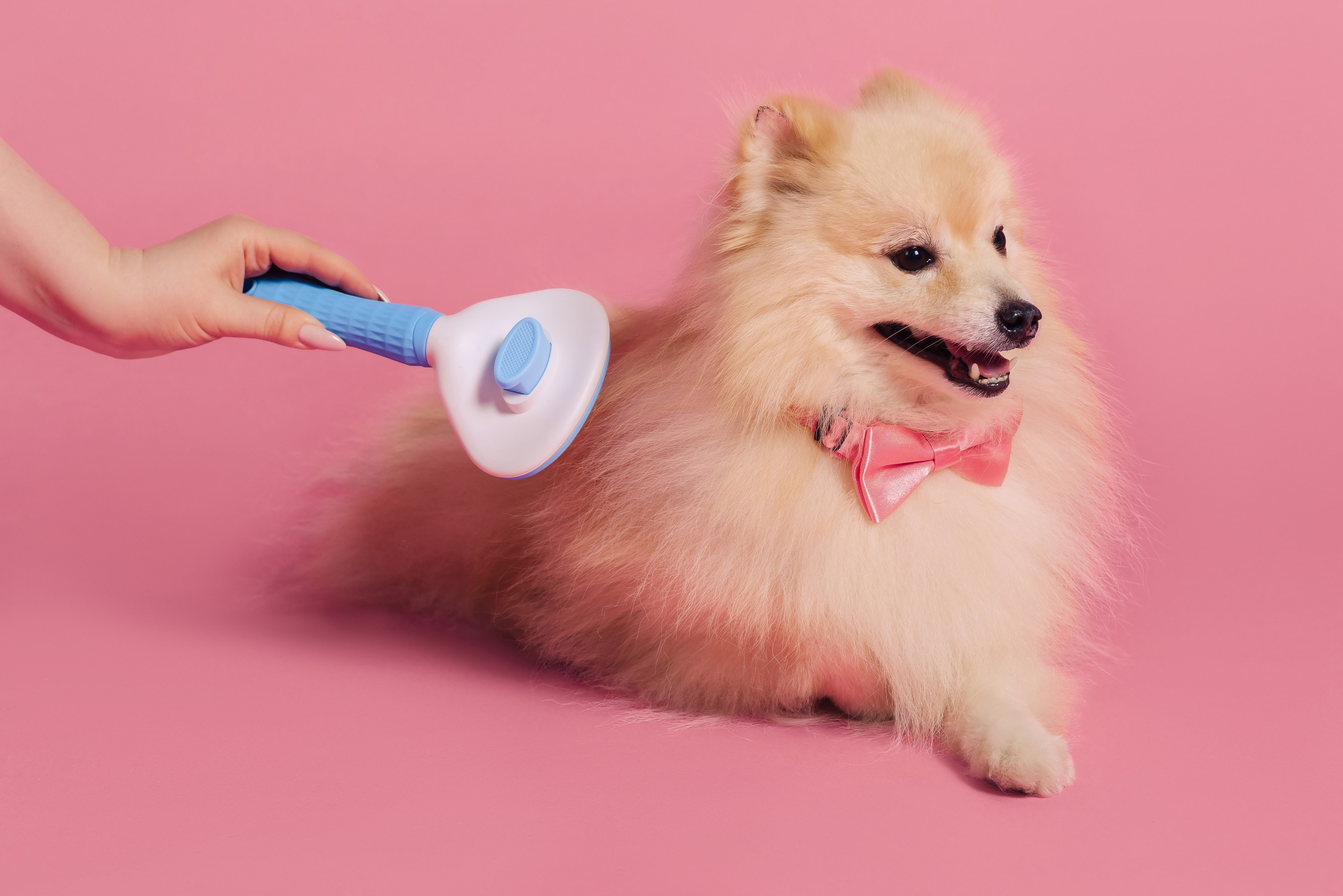 Магазин Friend of mine. Фотограф-анималист Елена Радченко, Москва