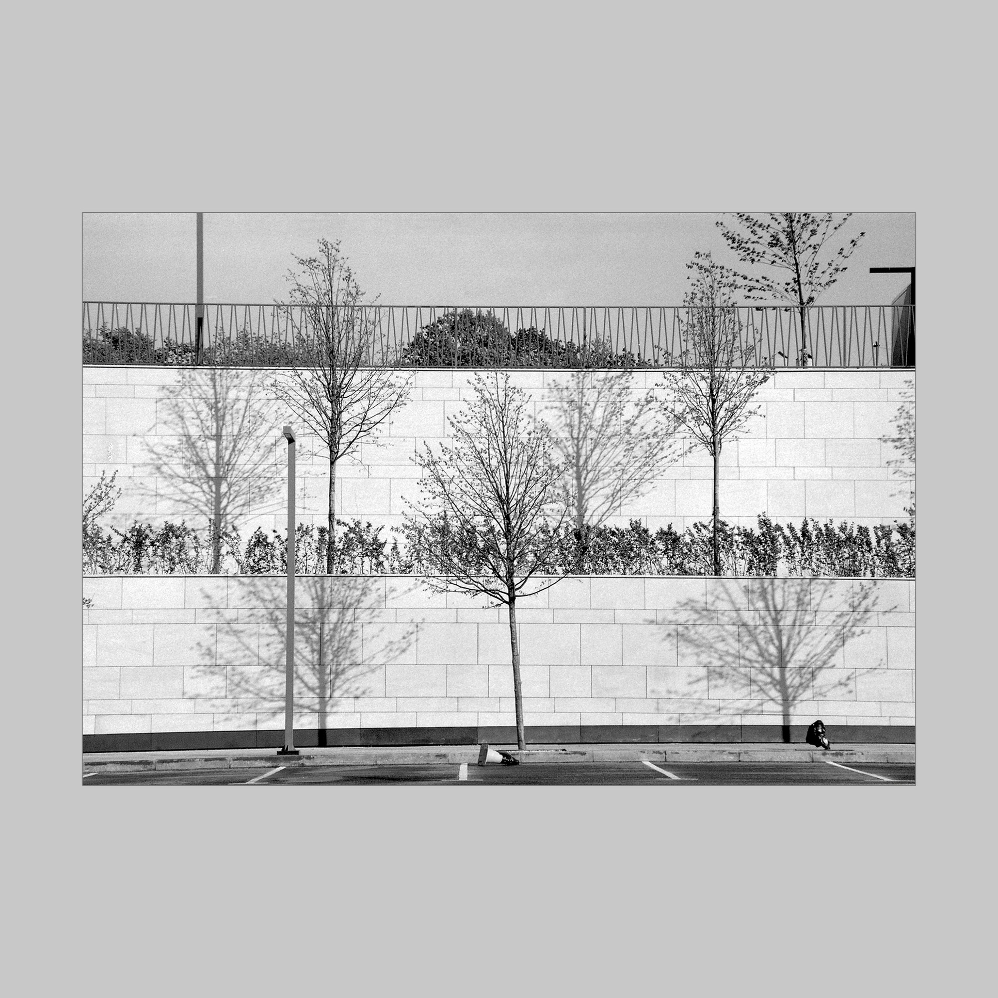 Городская сюита. Фотограф Юлия Близнецова