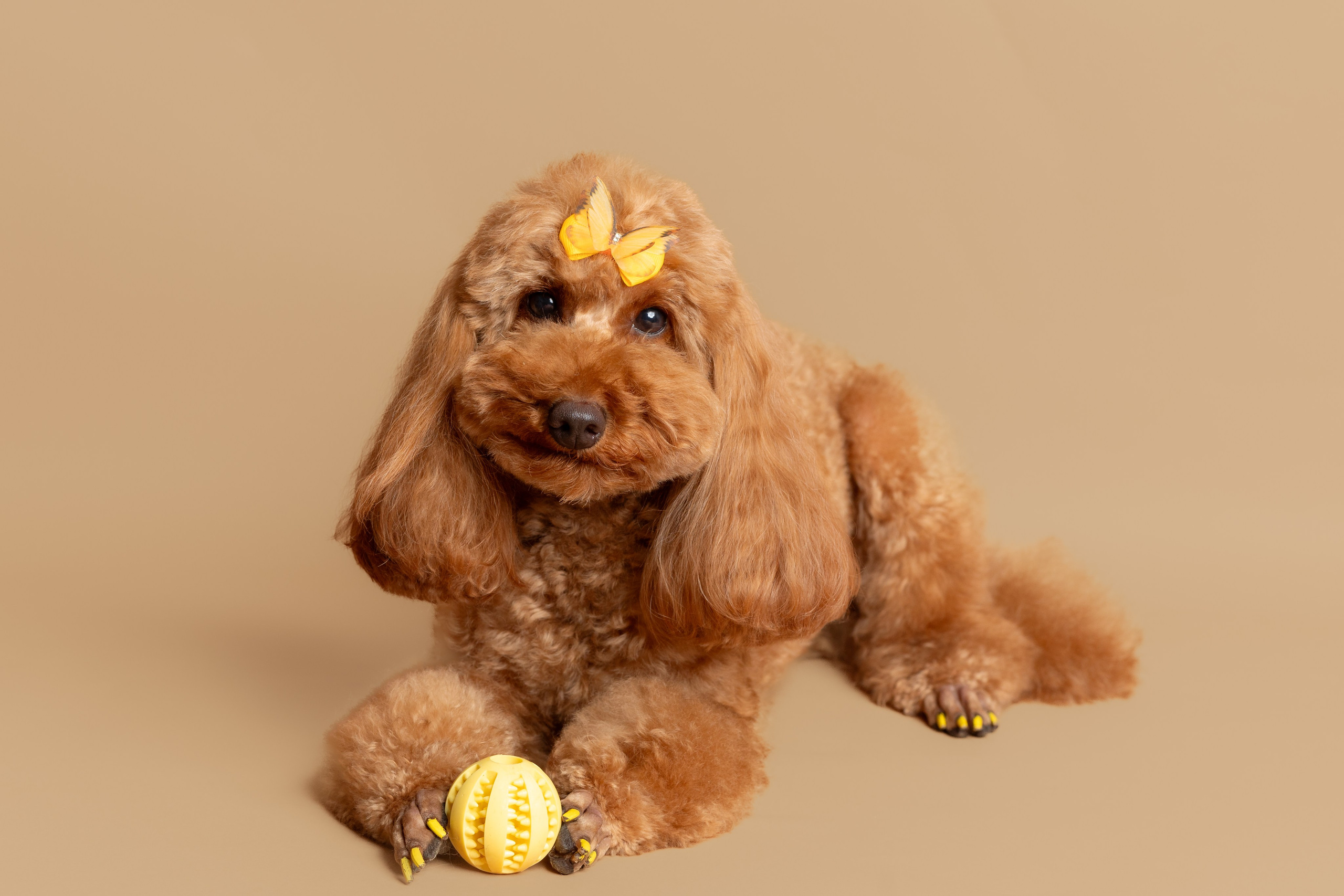 СЪЕМКИ ДОМА