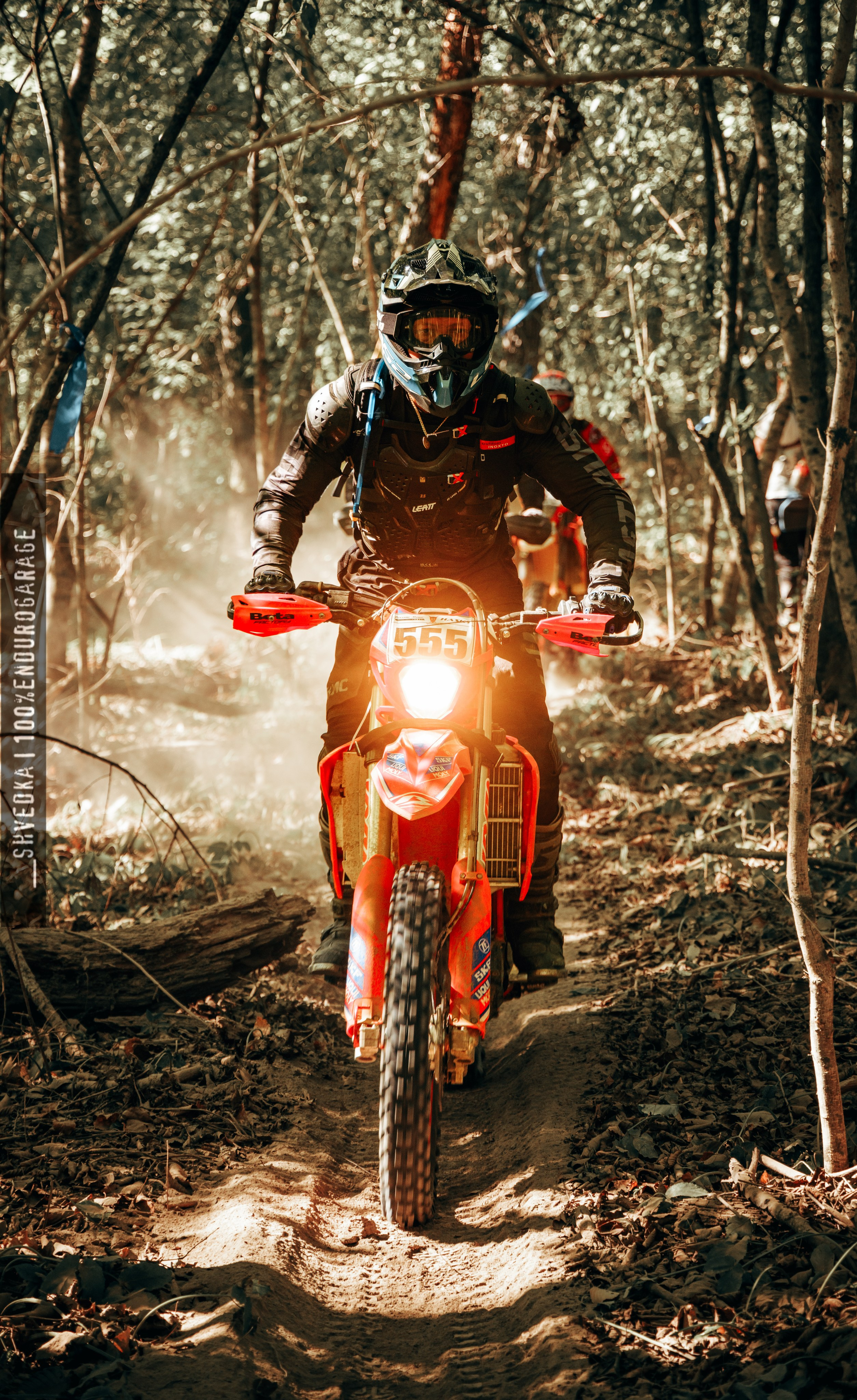 1 лесной день. Ваш экстрим фотограф Кудрева Яна