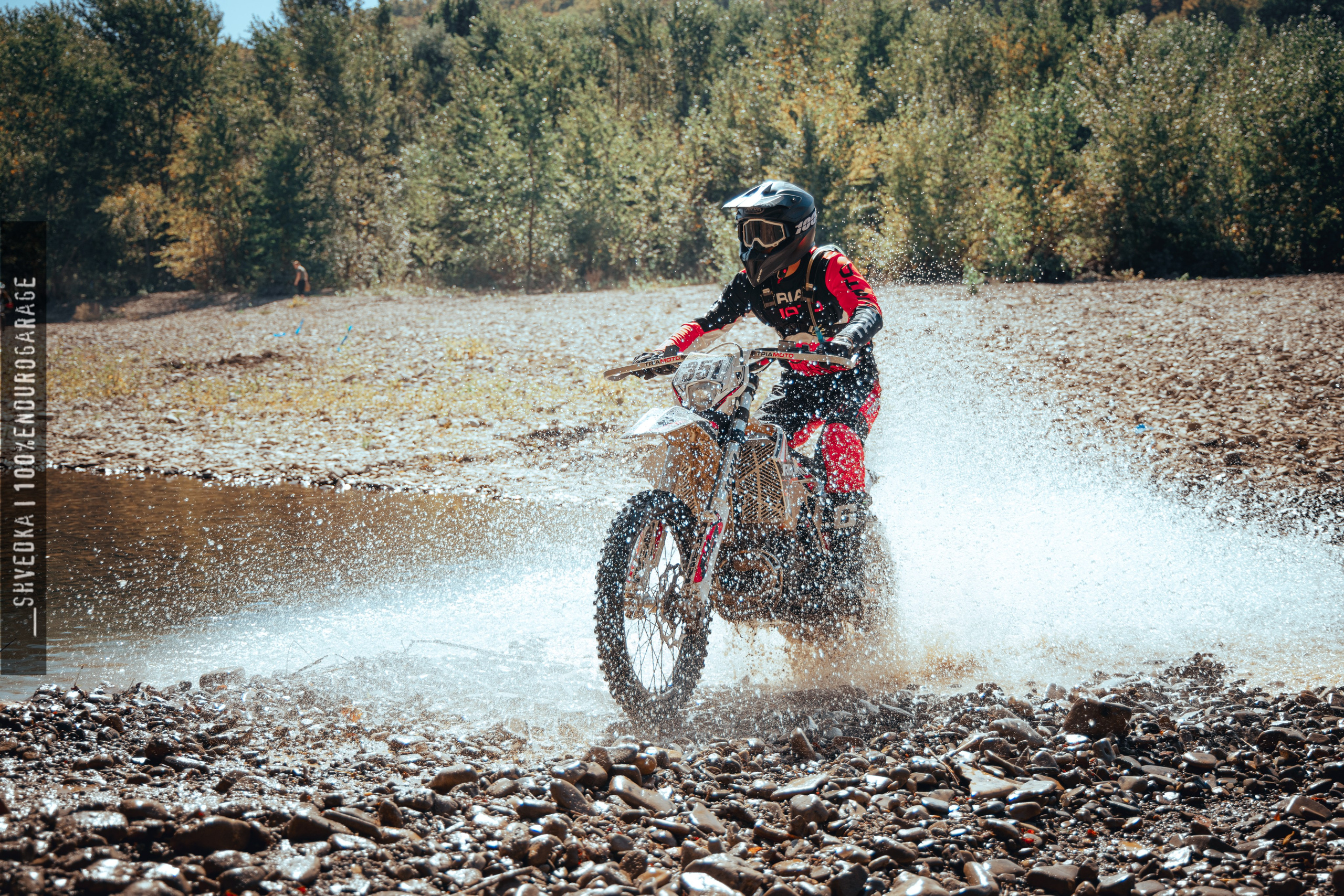 1 лесной день. Ваш экстрим фотограф Кудрева Яна