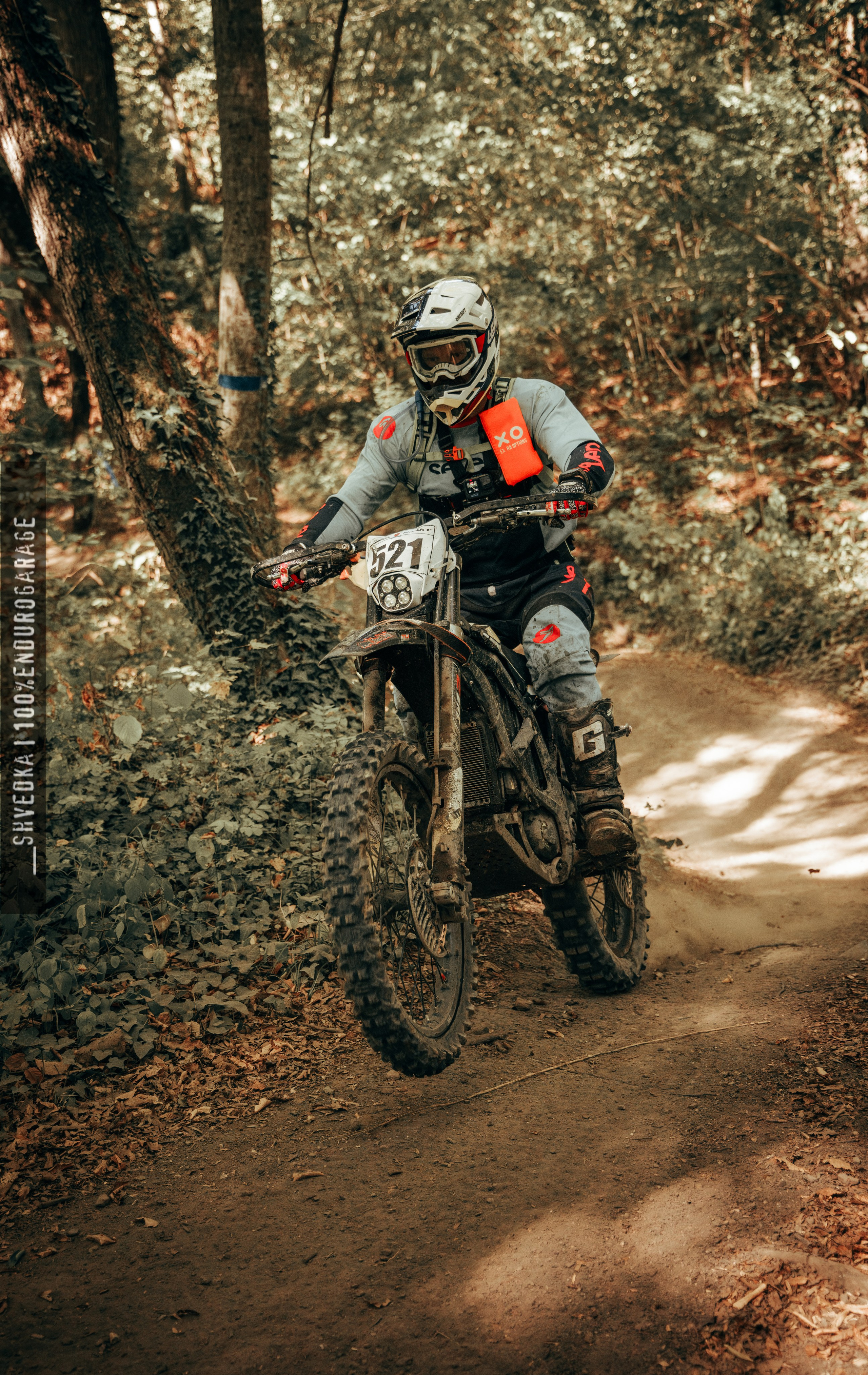 2 лесной день. Ваш экстрим фотограф Кудрева Яна