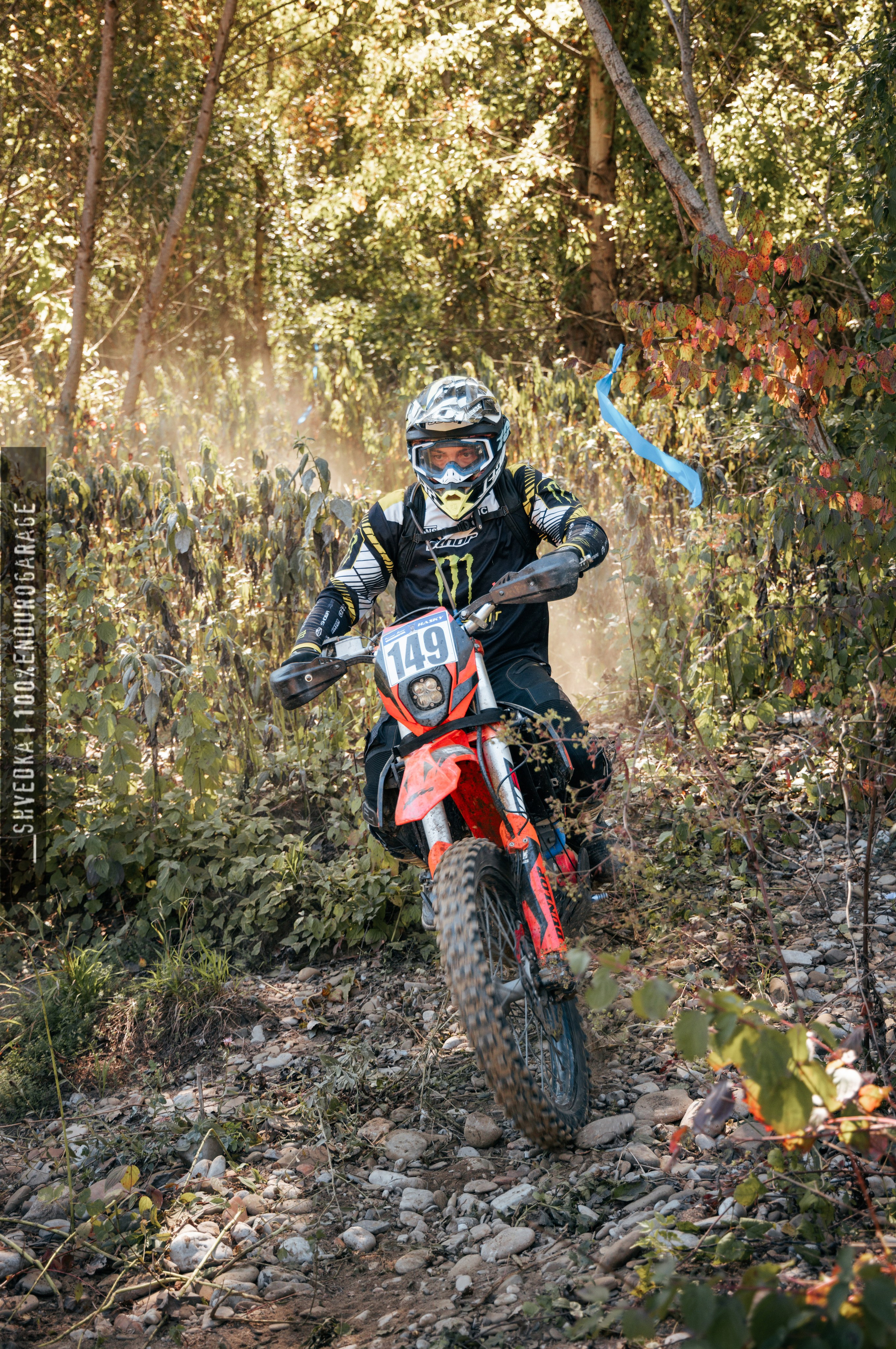 1 лесной день. Ваш экстрим фотограф Кудрева Яна