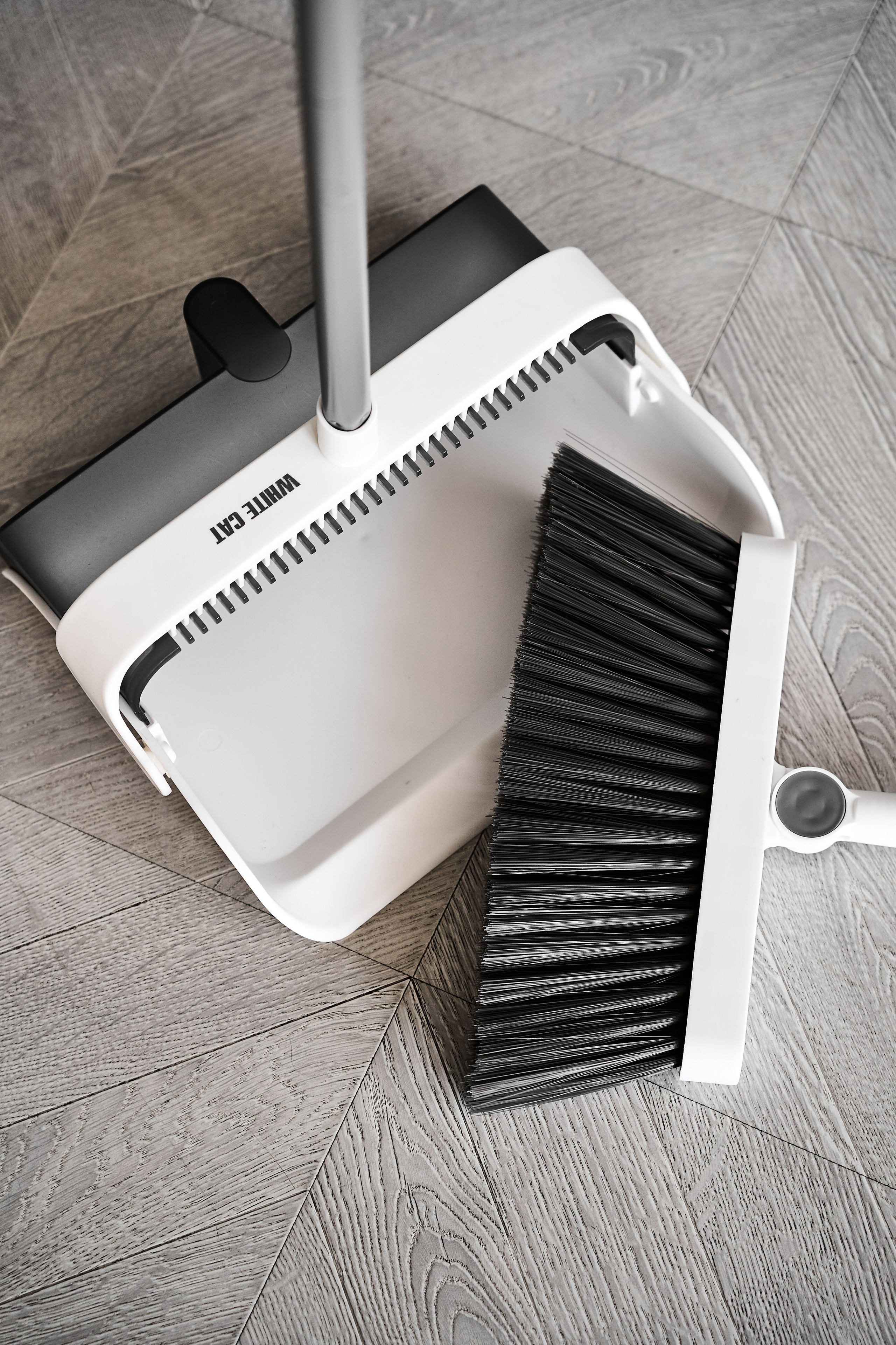 White cat. Фотограф в Москве Казакова Анна