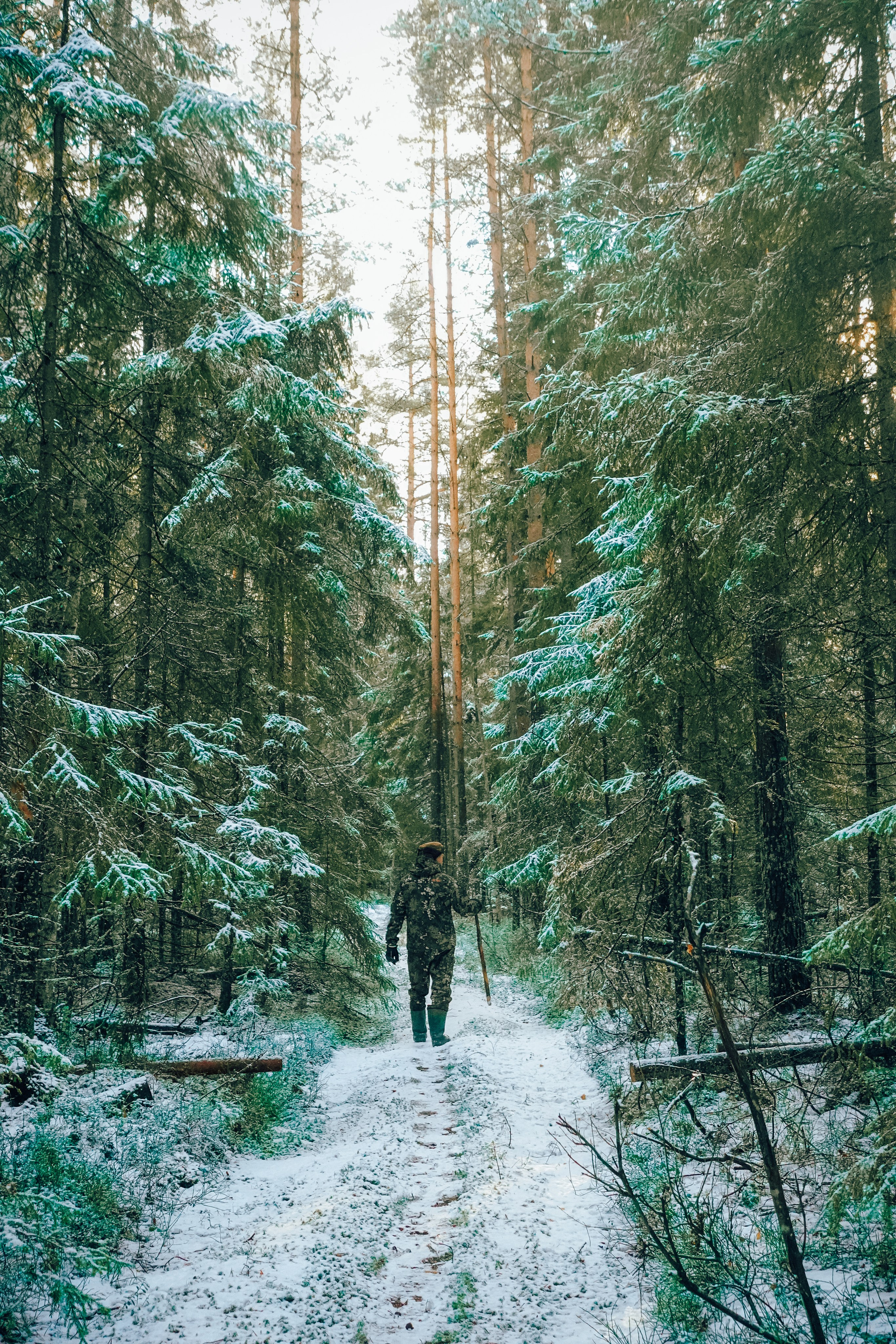 Пленишник. Фотограф Алиса Аспер