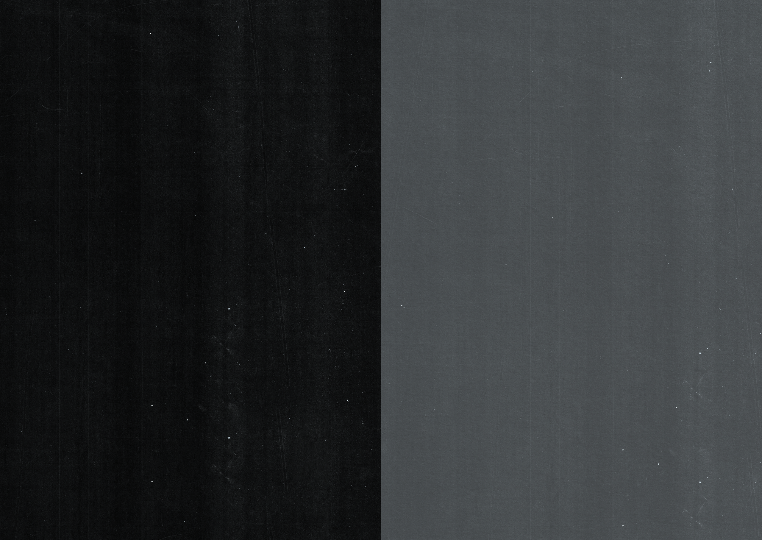 Living dead. Полина Щапова БМК235 Медиаком — НИУ ВШЭ