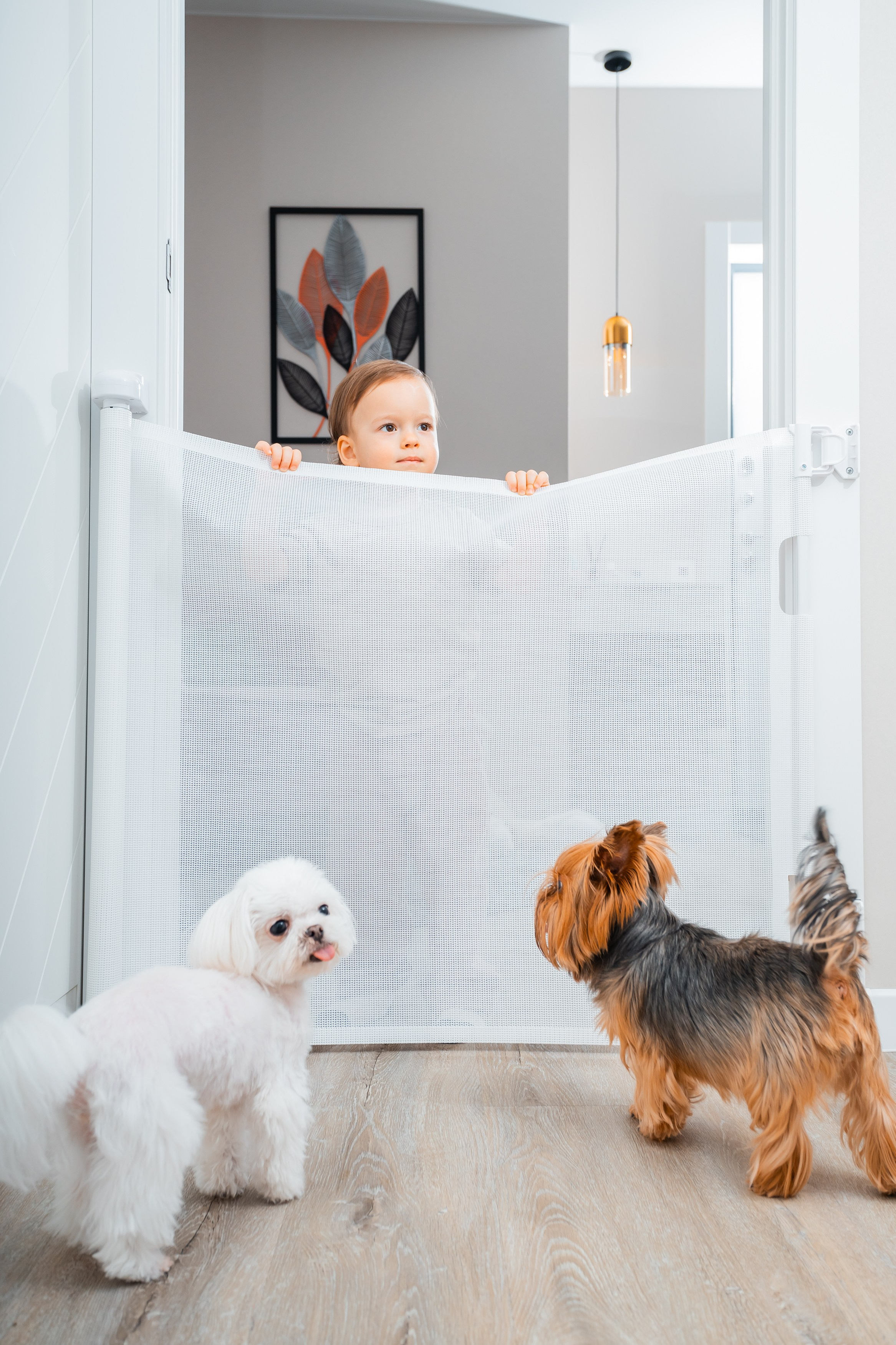 Съёмка товаров для маркетплейс в Тюмени. Фотограф Илья Силин