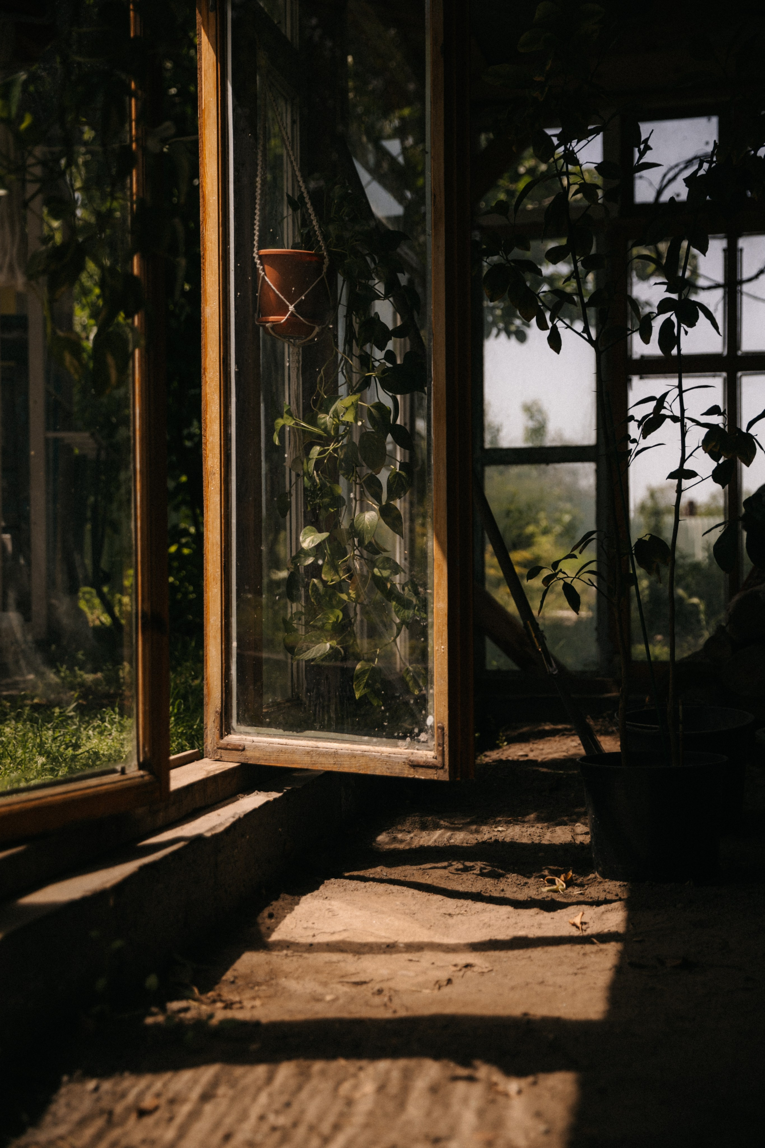 Ферма. Свадебный и семейный фотограф Василина Батищева в Моздоке, Северной Осетии и КМВ