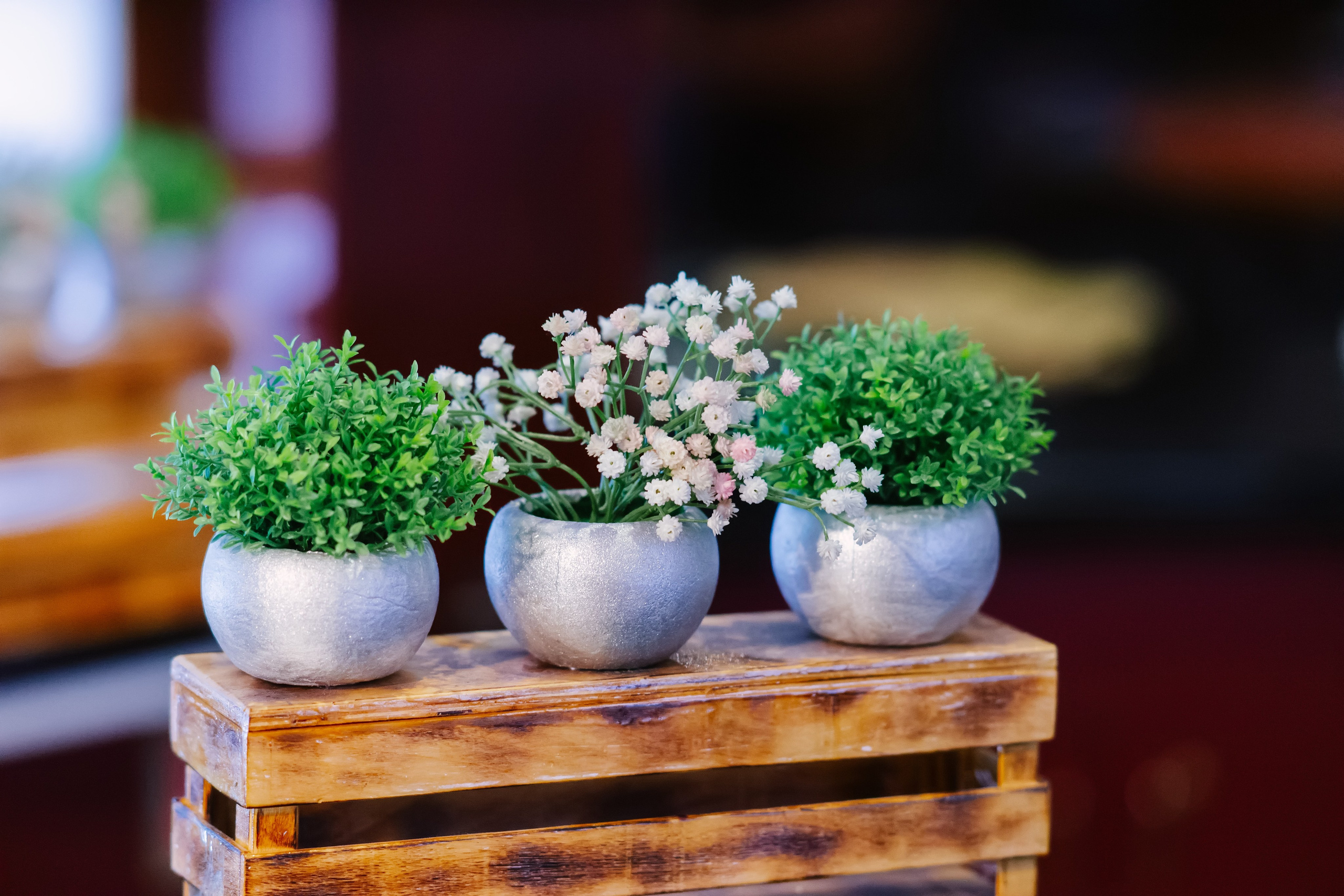 Юбилей. Профессиональная съемка в Алматы