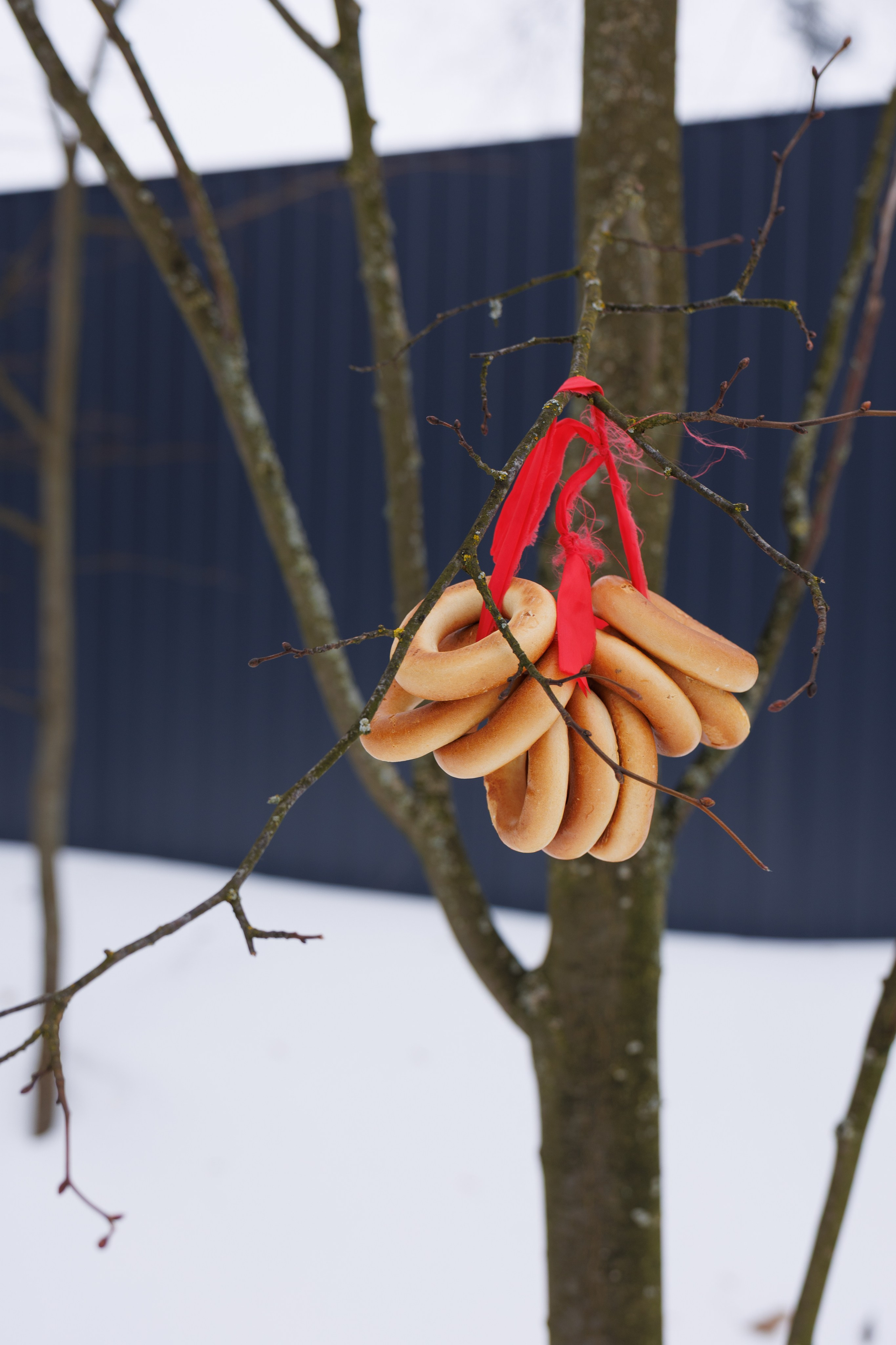 Масленица Солнечногорск 2026. Фотограф Олеся Сухова в Клину