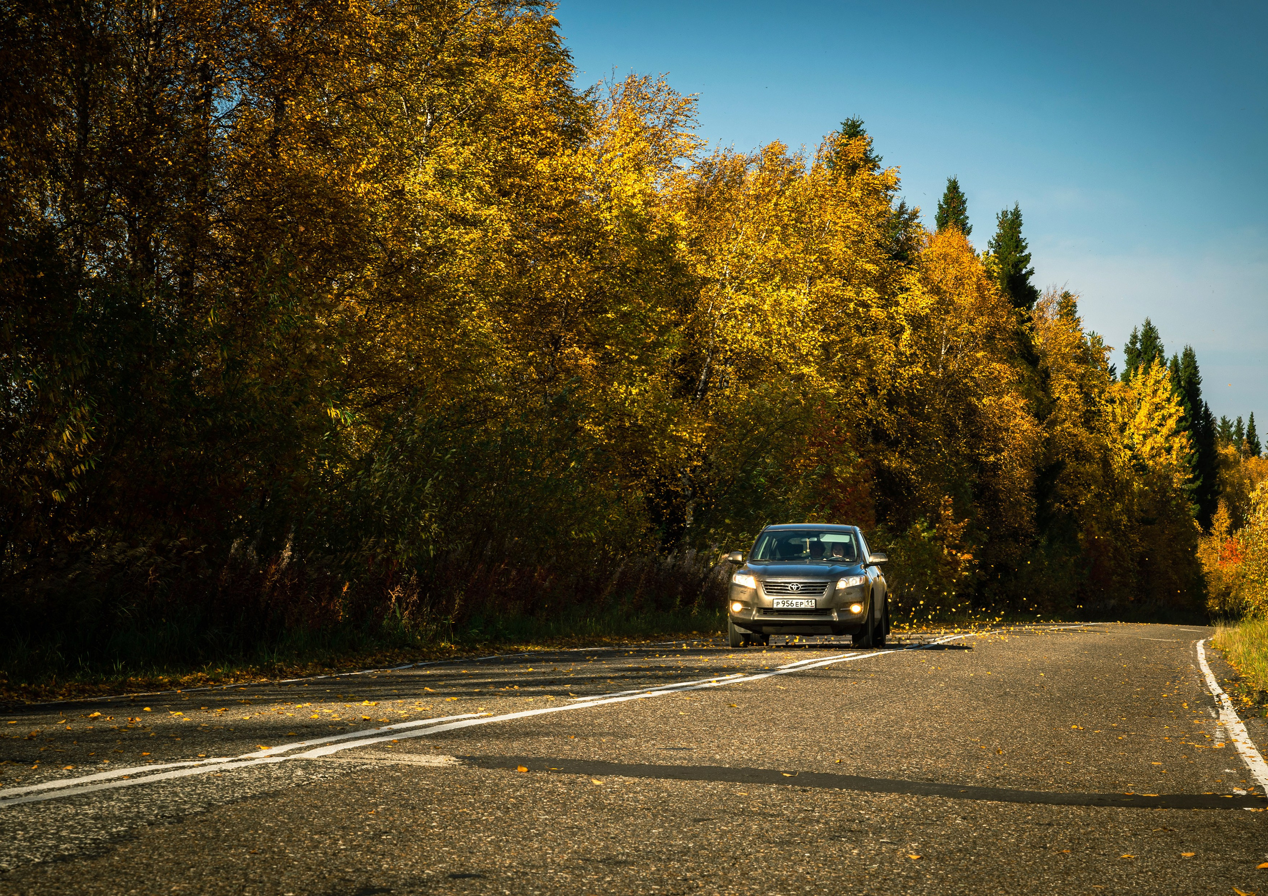Осень. Фотограф в с. Ижма Республика Коми Терентьев Сергей