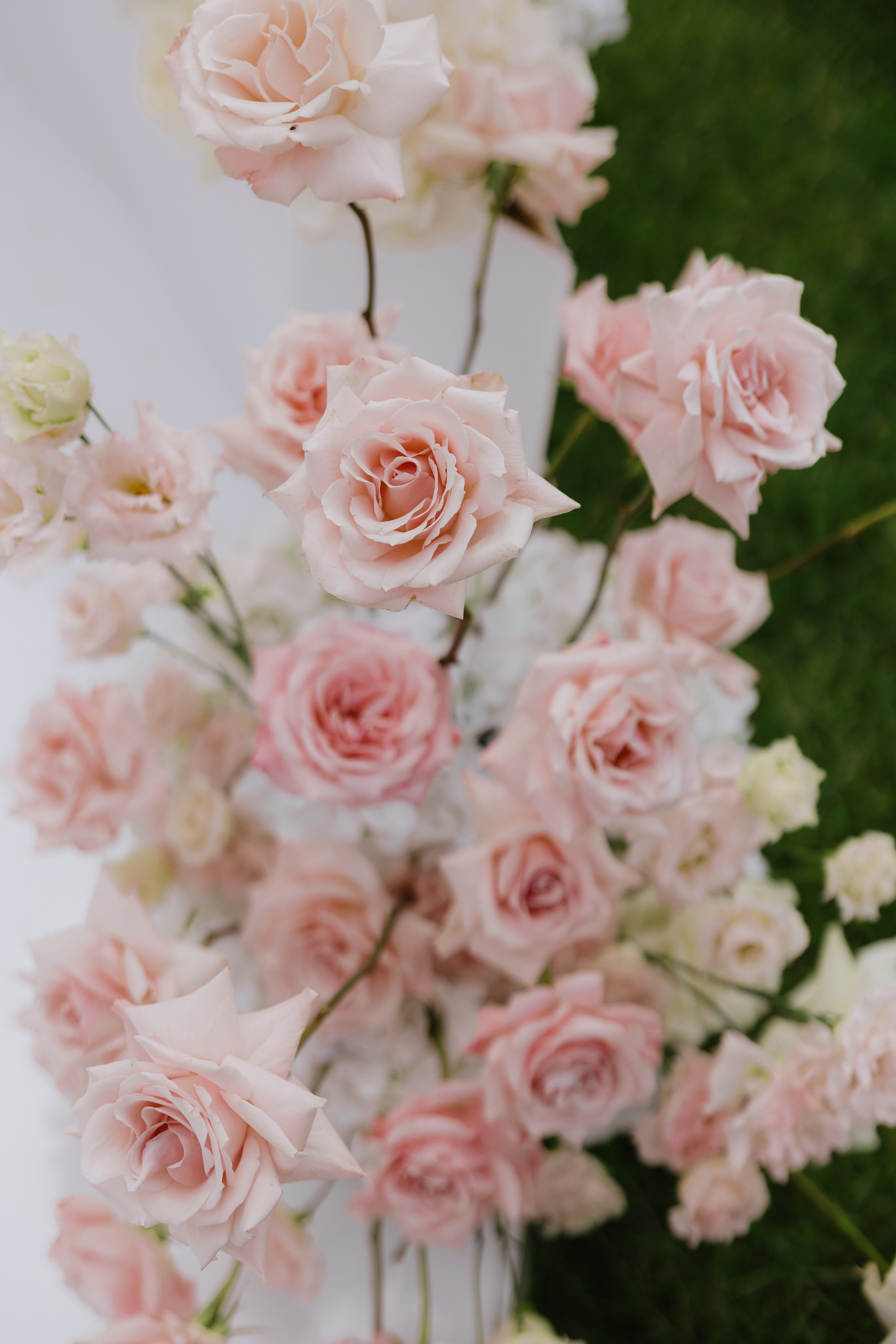 Паша и Нина | 2026. Wedding photographer Lithuania Poland Latvia Germany