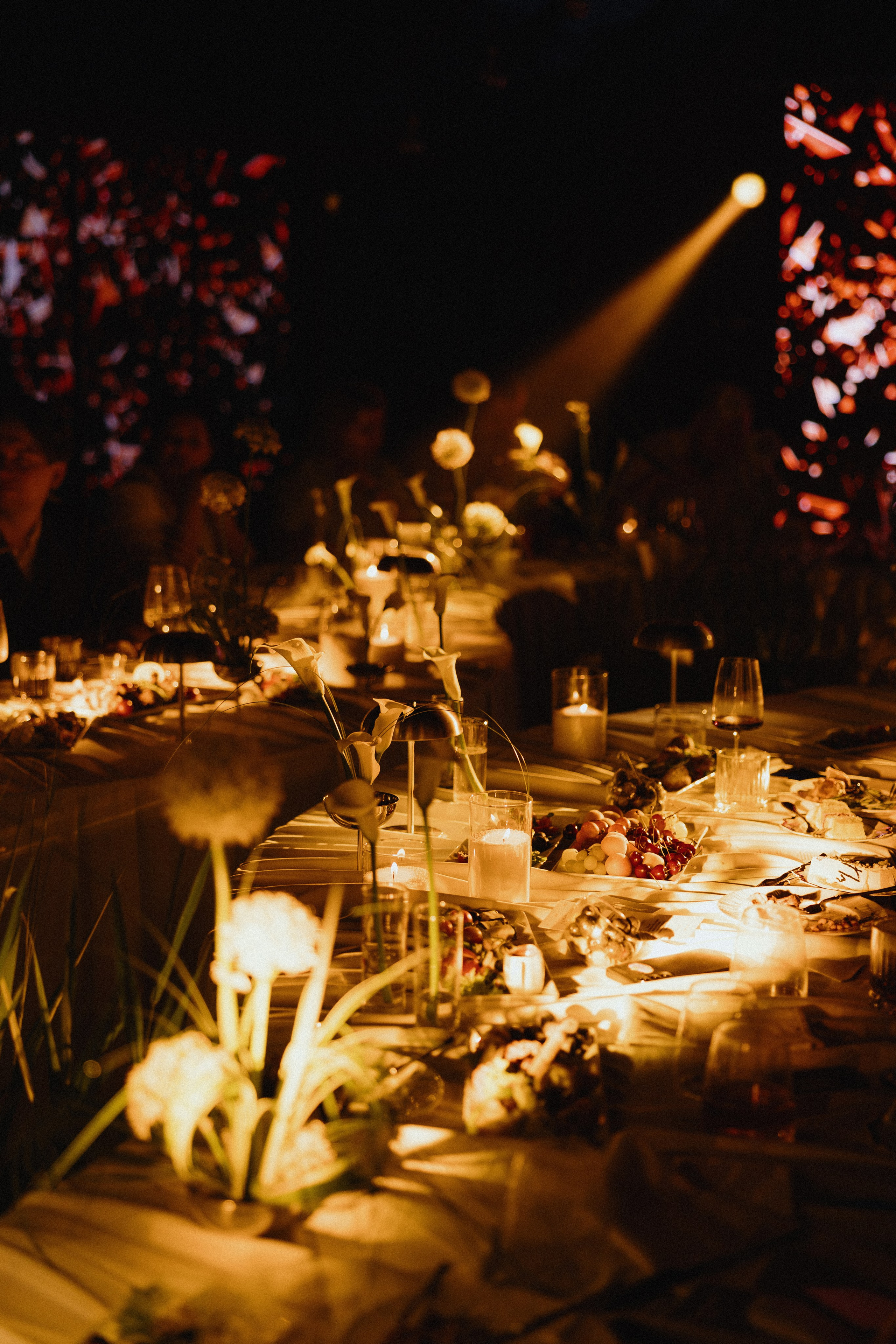 Дима и Оля | 2026. Wedding photographer Lithuania Poland Latvia Germany
