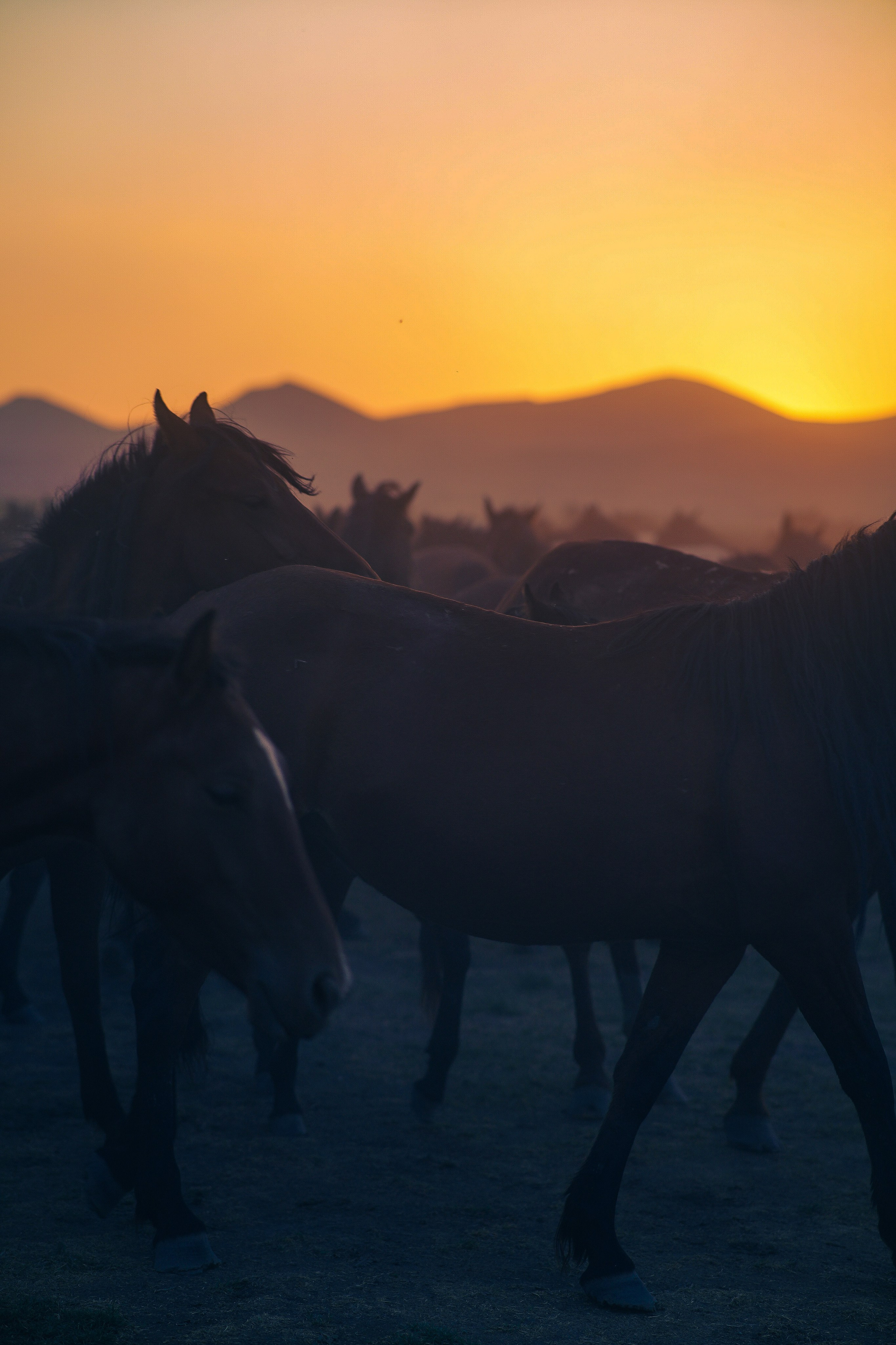 Каппадокия / Фото-тур