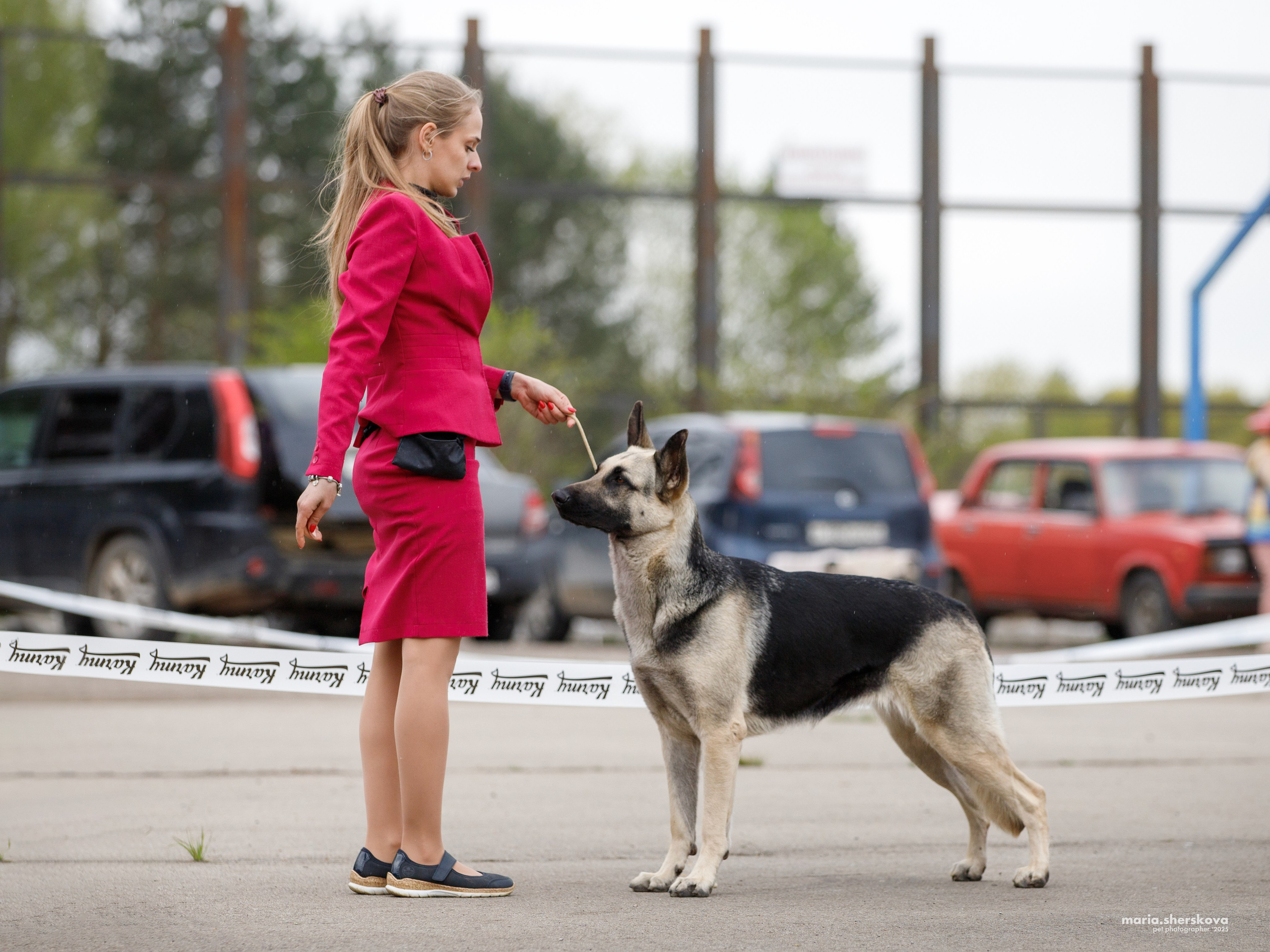 Выставки. Фотограф-анималист в Калуге Мария Шерскова