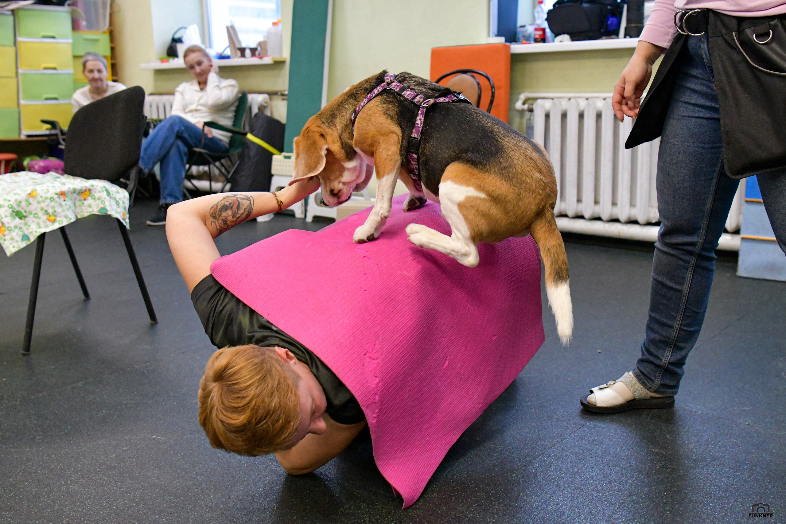 Кинологический клуб «Бодрый хвост». Свой взгляд через объектив