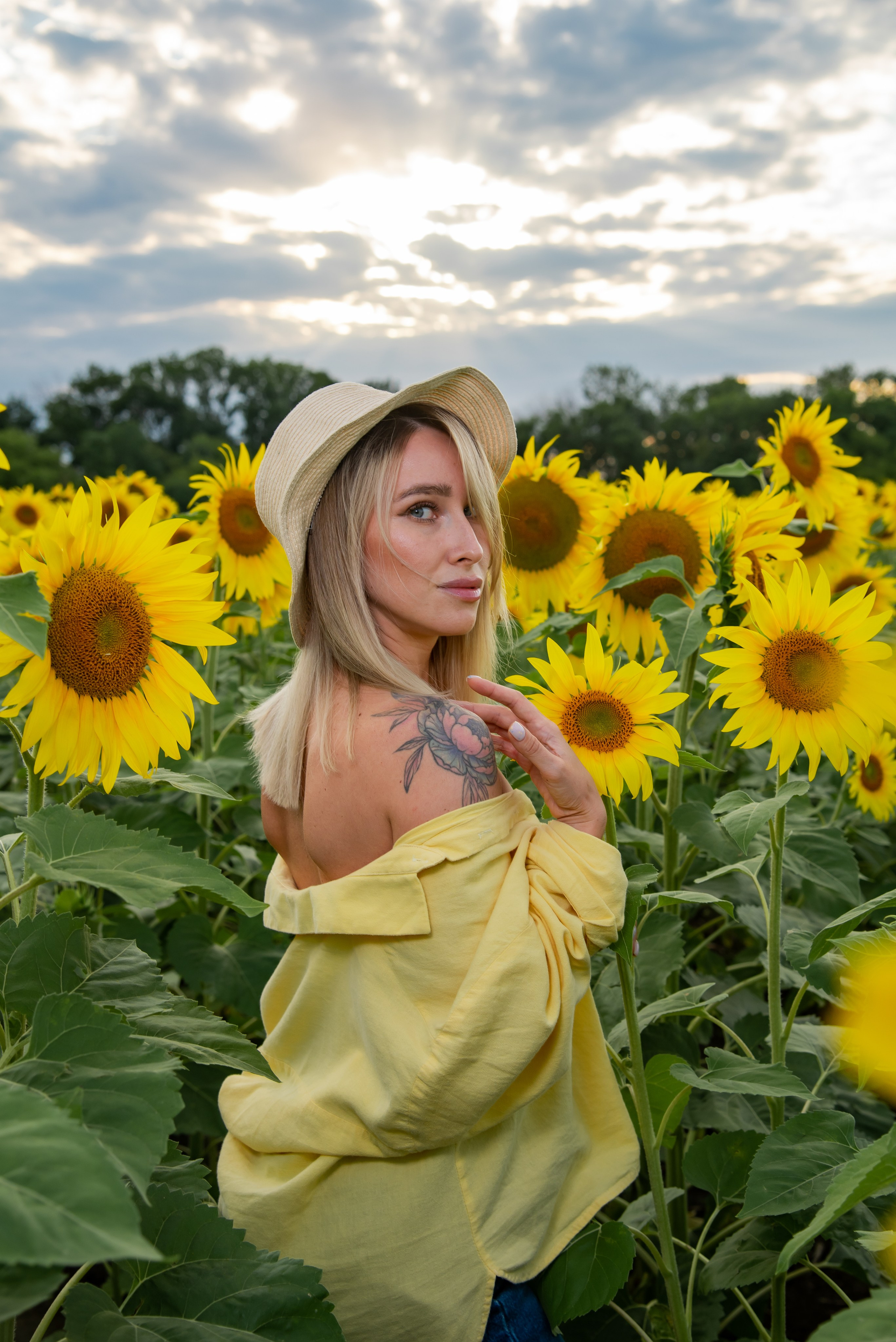 Подсолнух. Фотограф Галина Нестерова