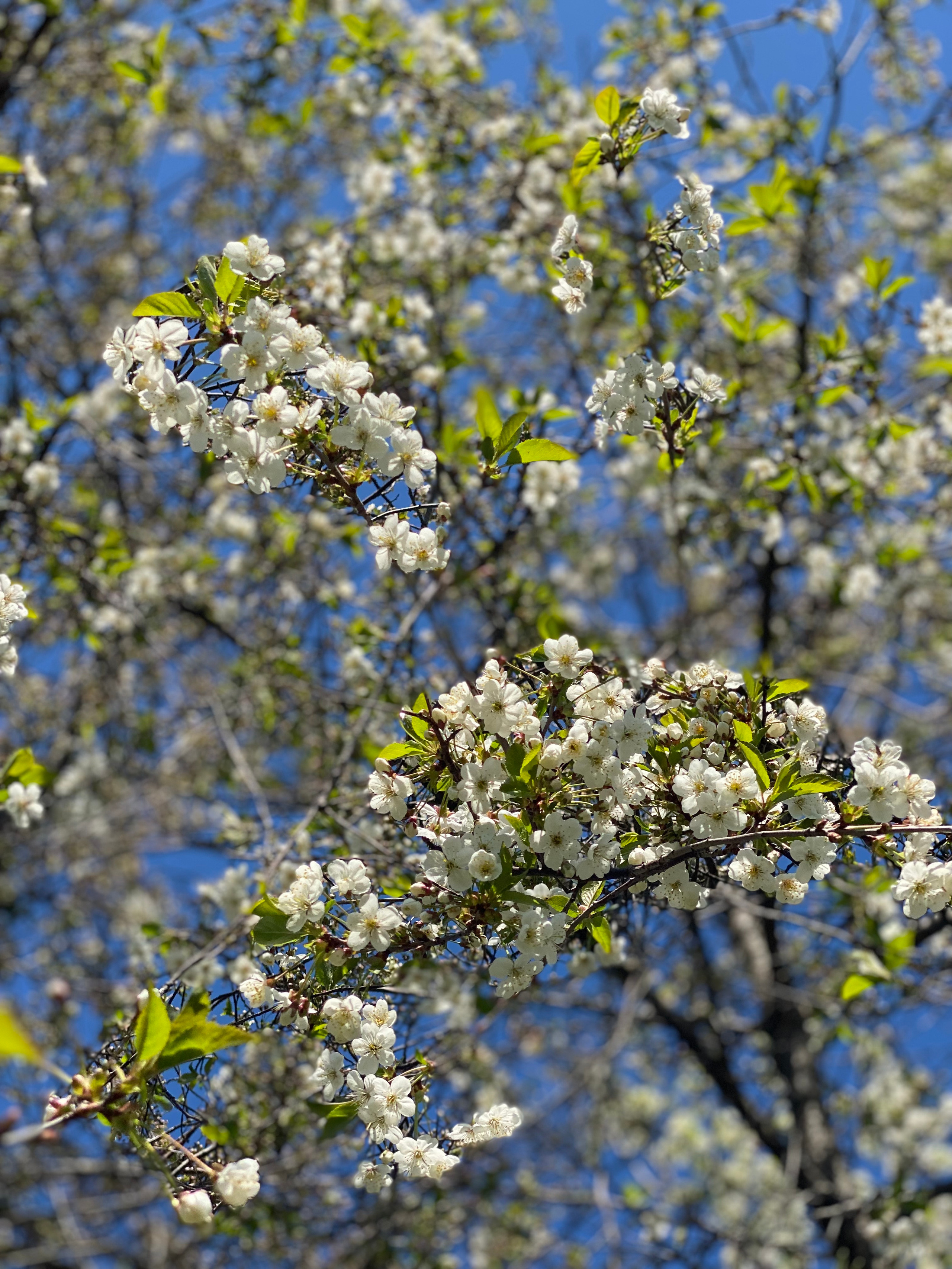 Деревенские зарисовки. Семейный LIFESTYLE фотограф в Москве
