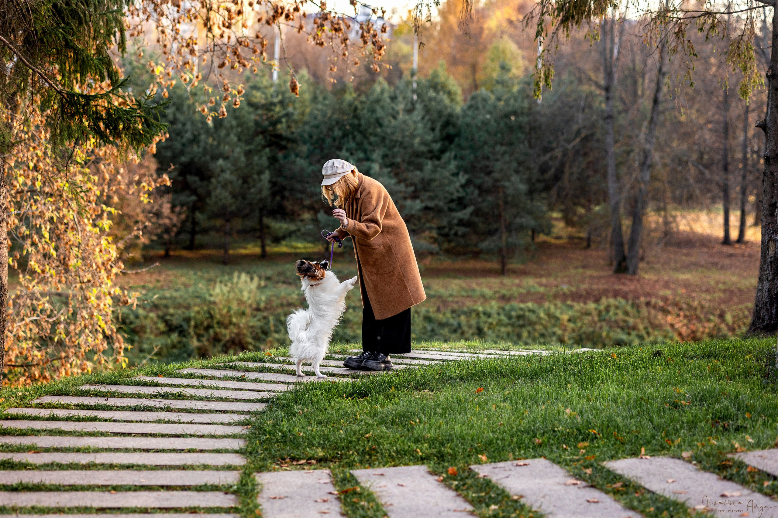 Хьюстон. Фотограф анималист Аня Ливанова | Рыбинск