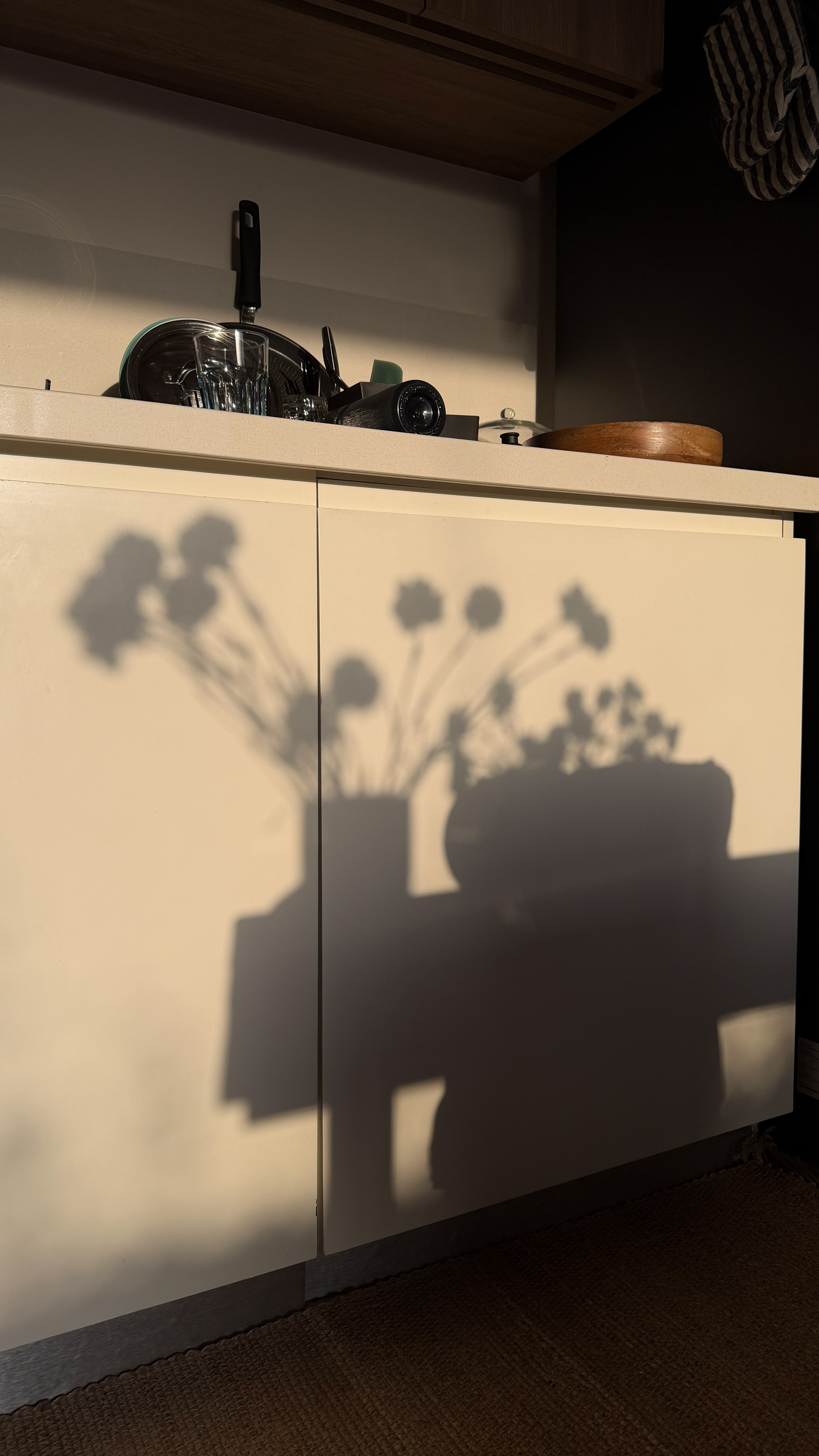 Shadows. Katyavasileva