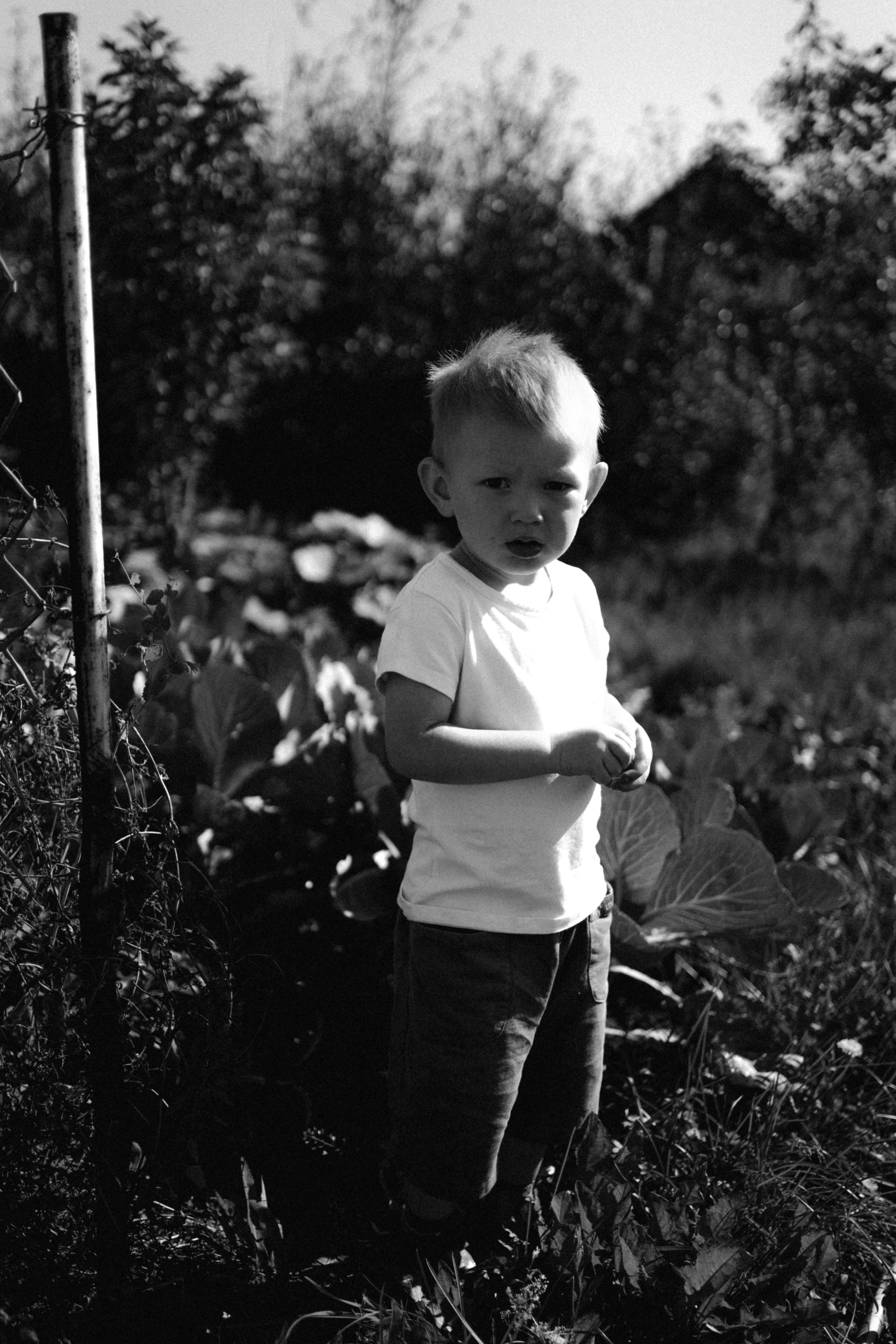 В саду. Фотограф Перевозкина Анна