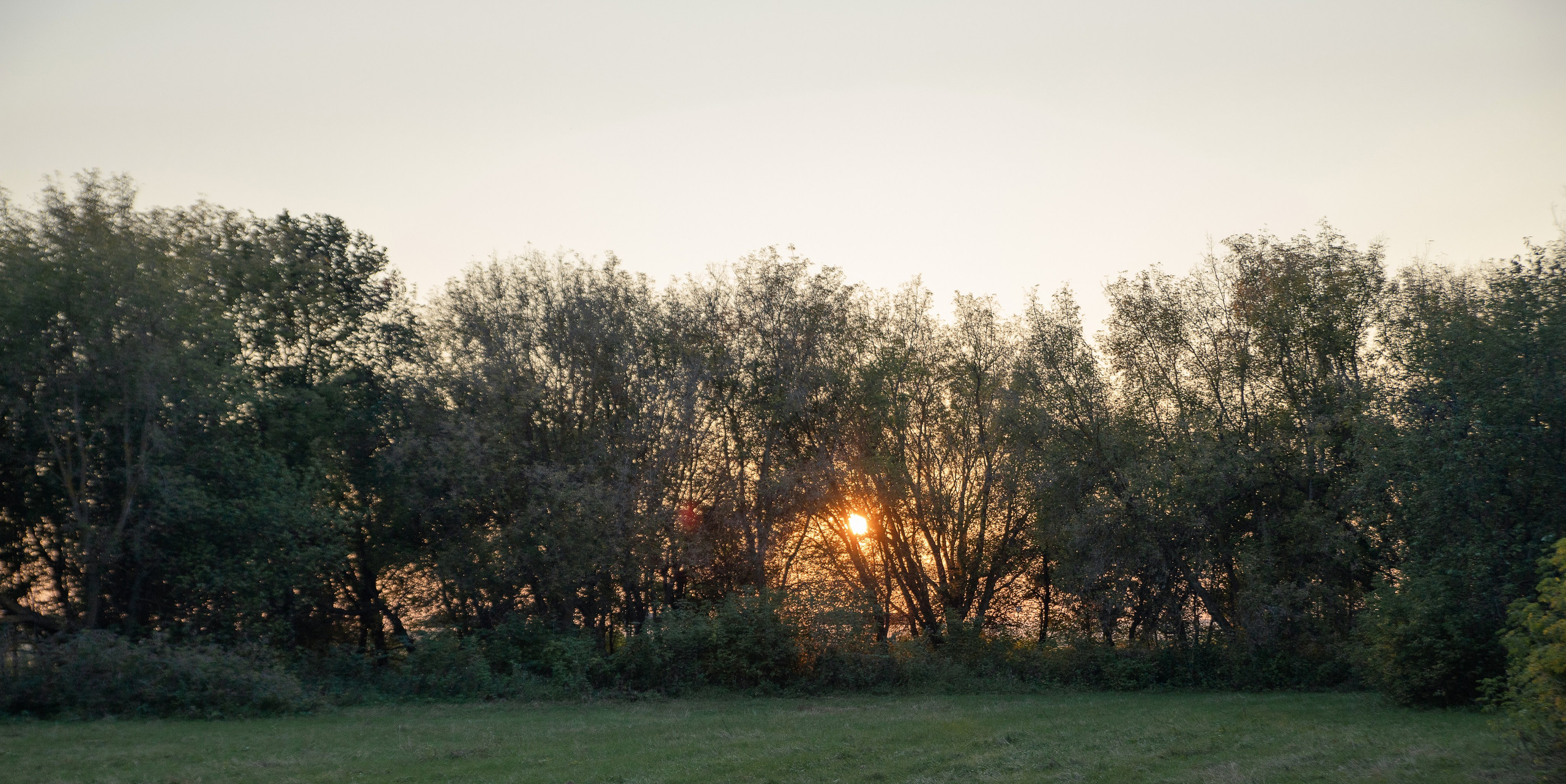 Семейные фотосессии. Свадебный фотограф Алмаз Акмалов