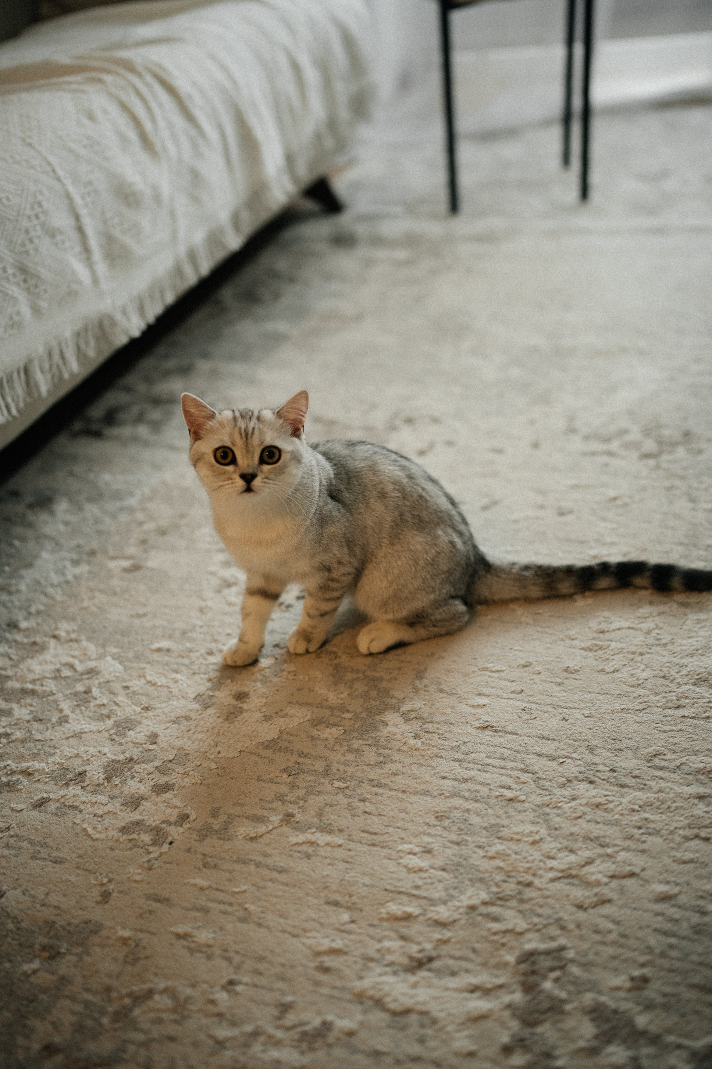 Семья Ксении и Максима. Фотограф | Юлия Арт| Обучение