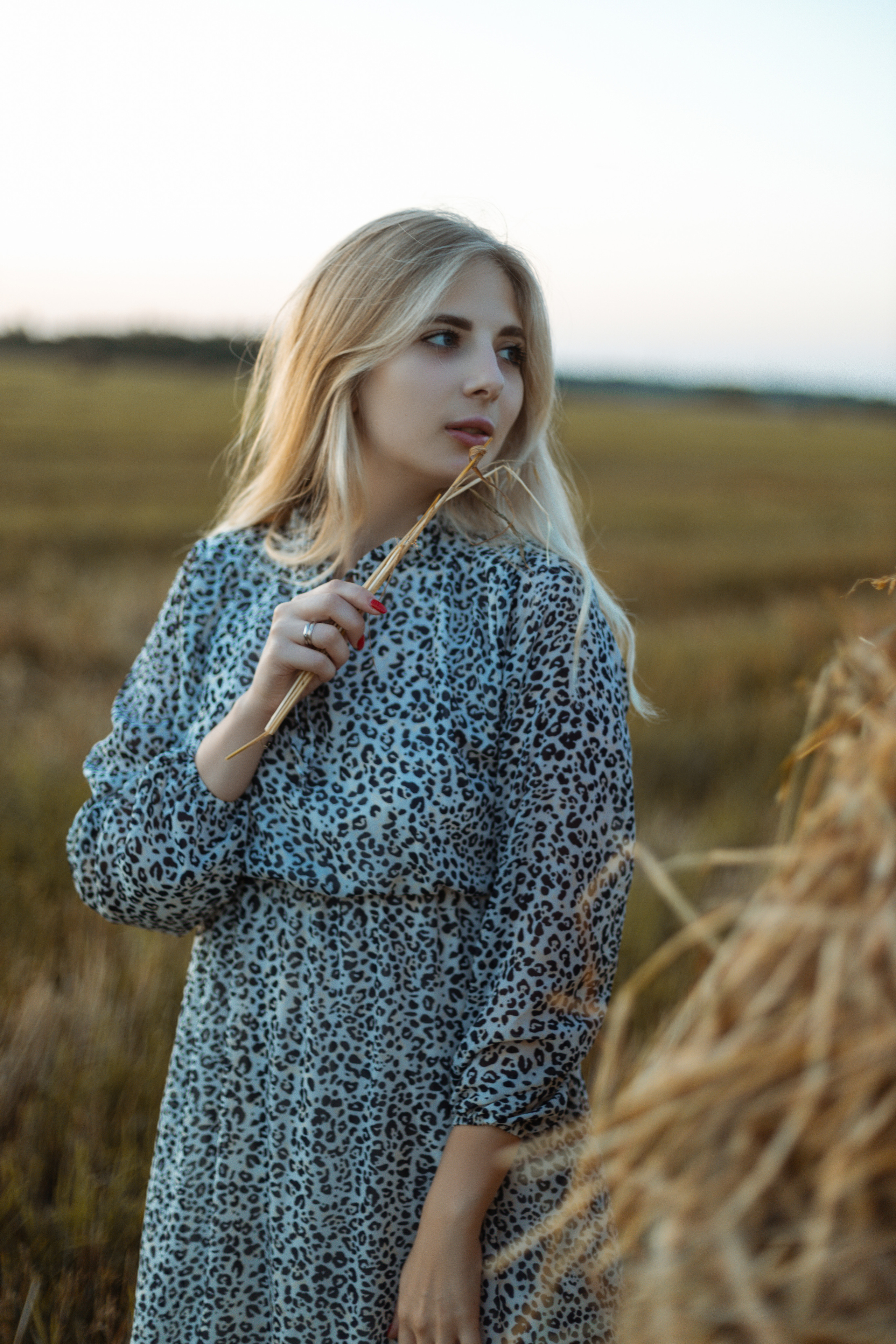 Закат в поле. Фотограф Александра Просекова