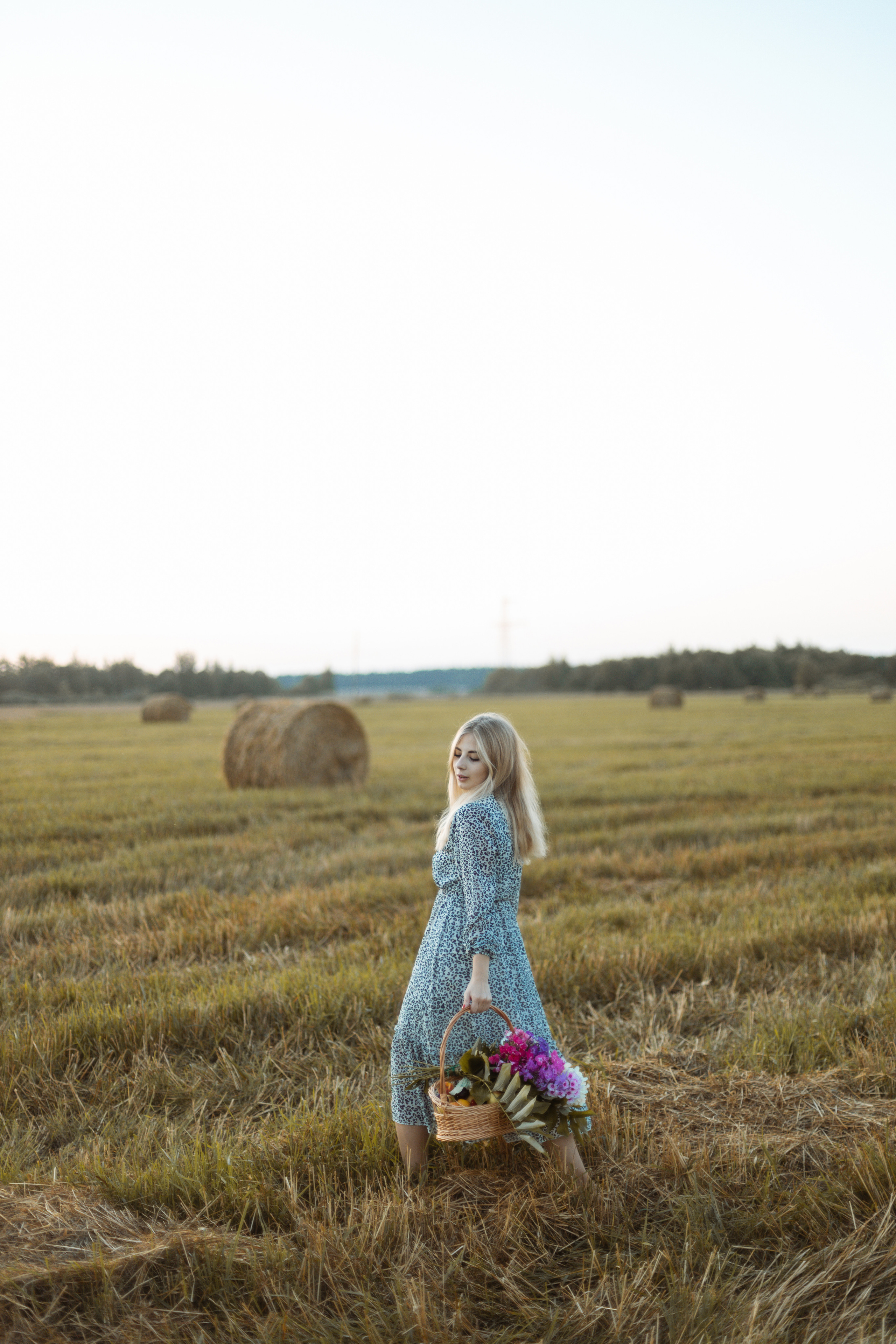 Закат в поле. Фотограф Александра Просекова