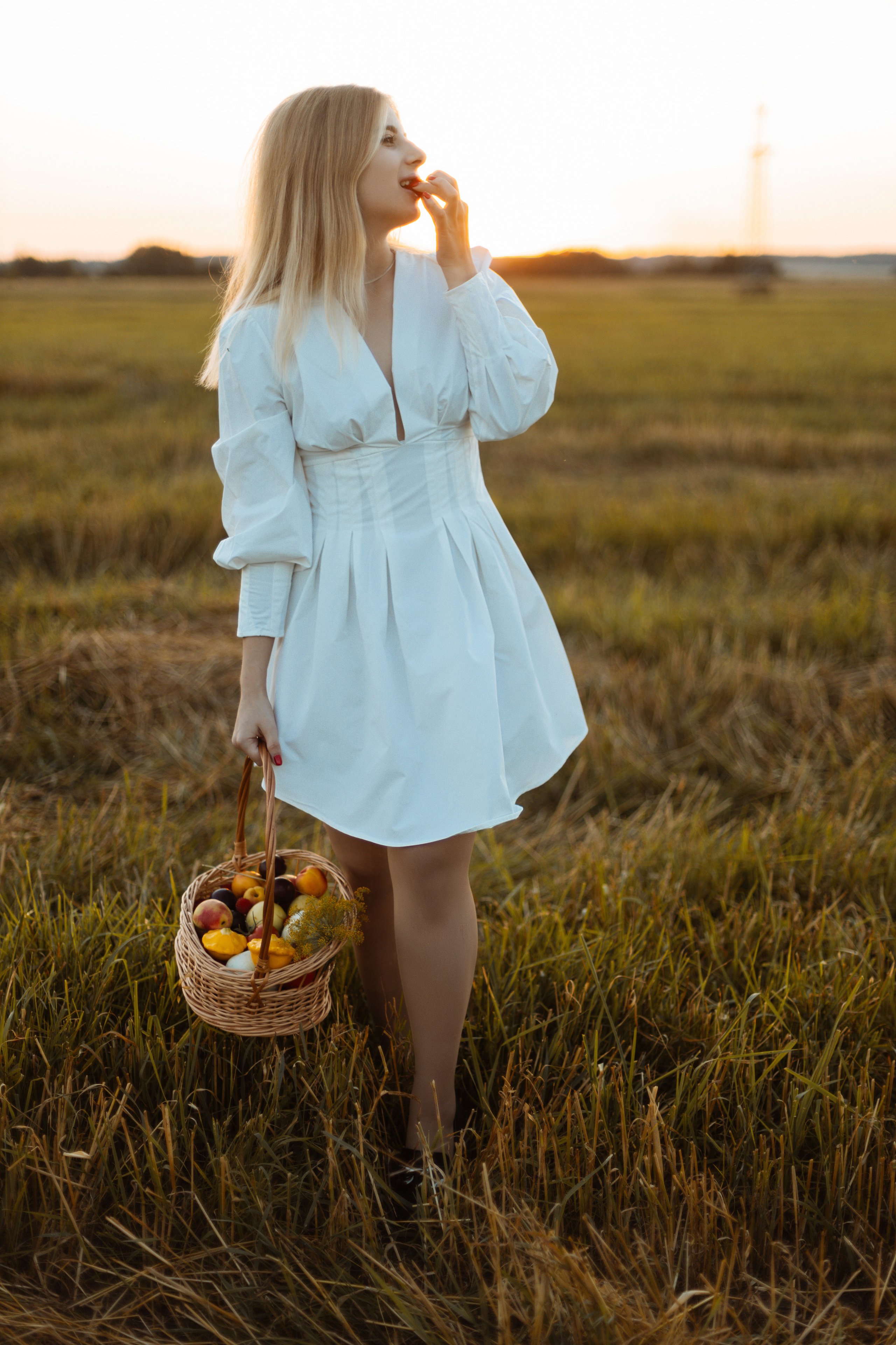 Закат в поле. Фотограф Александра Просекова