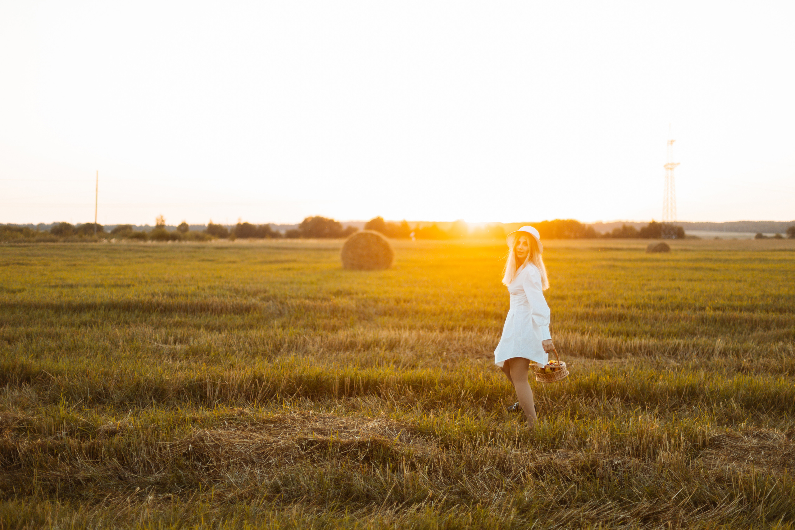 Закат в поле. Фотограф Александра Просекова