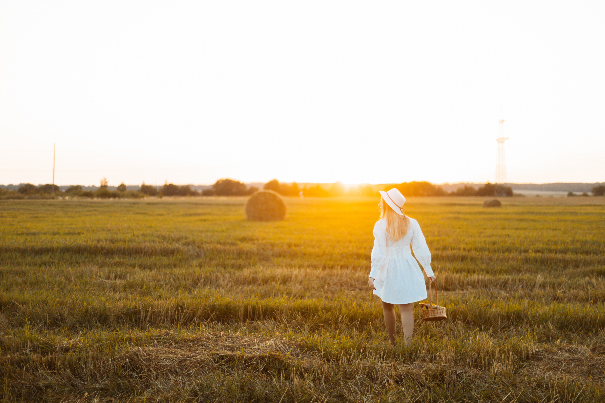 Закат в поле. Фотограф Александра Просекова