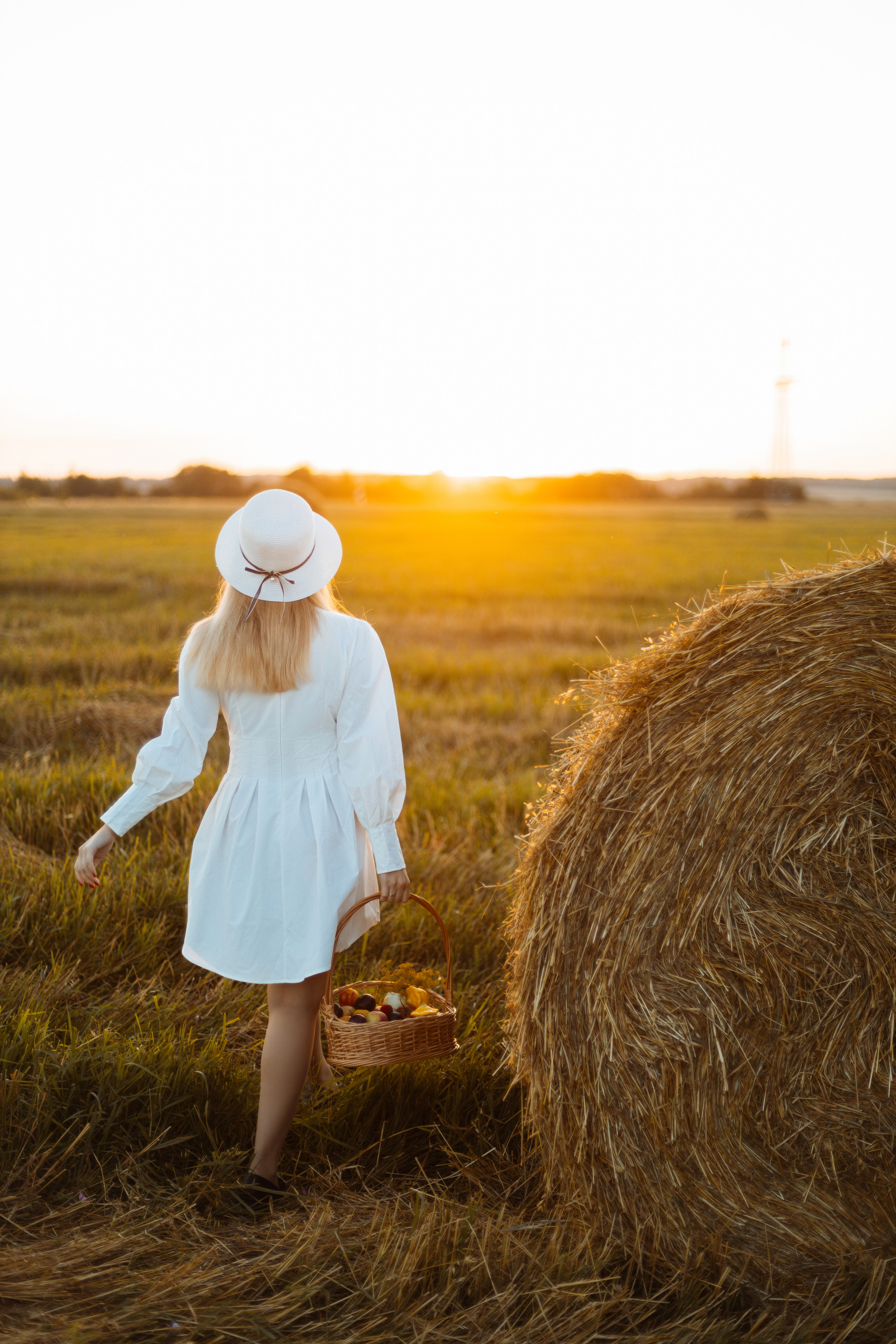 Закат в поле. Фотограф Александра Просекова