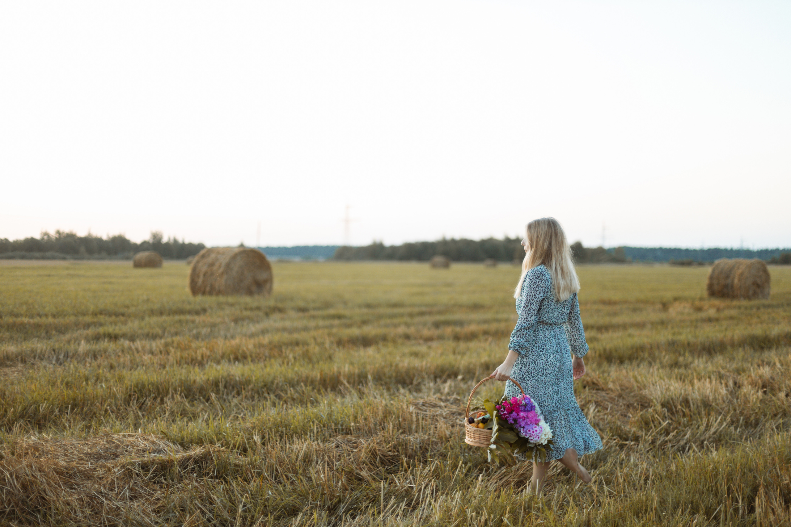 Закат в поле. Фотограф Александра Просекова