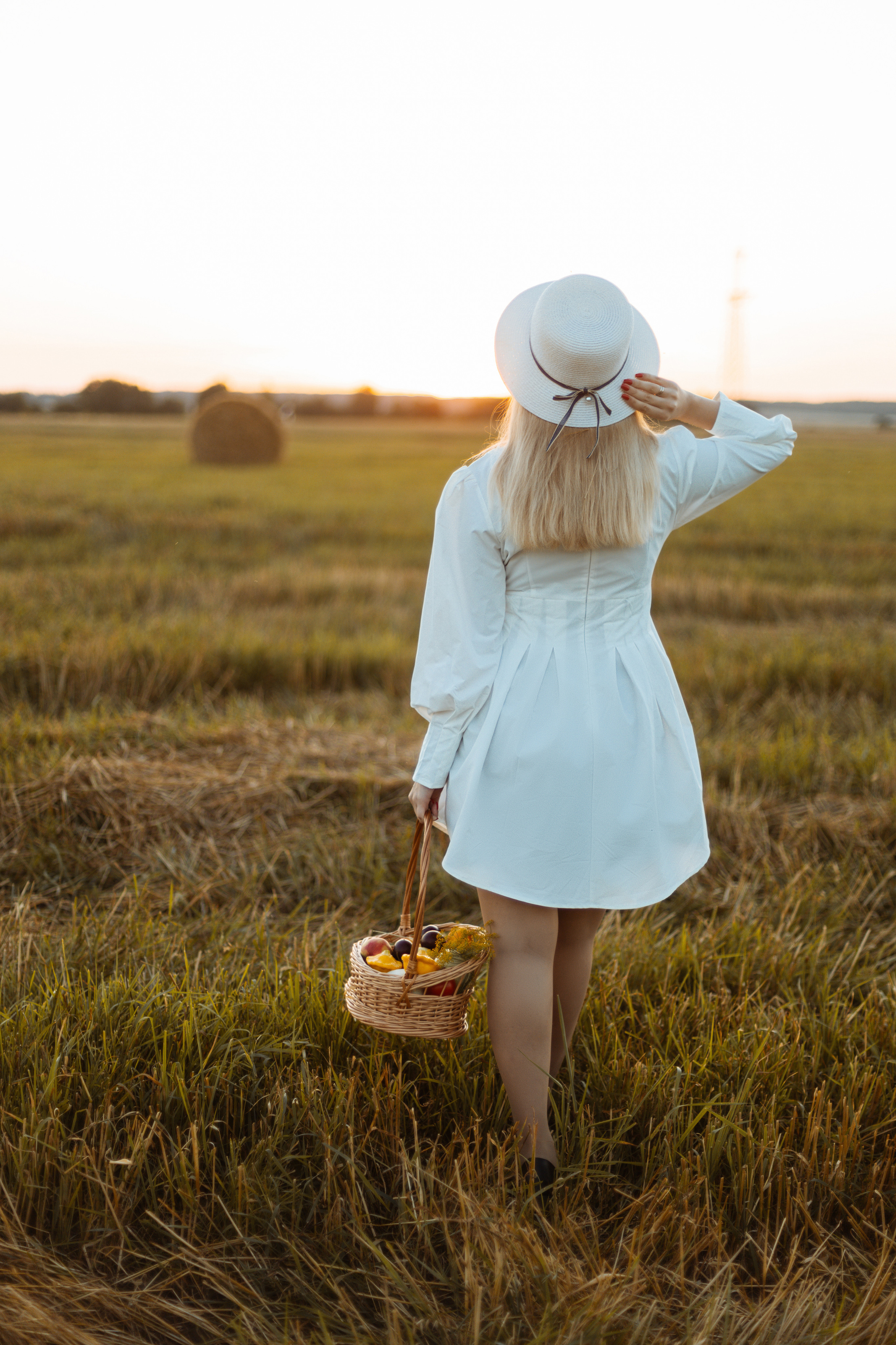 Закат в поле. Фотограф Александра Просекова