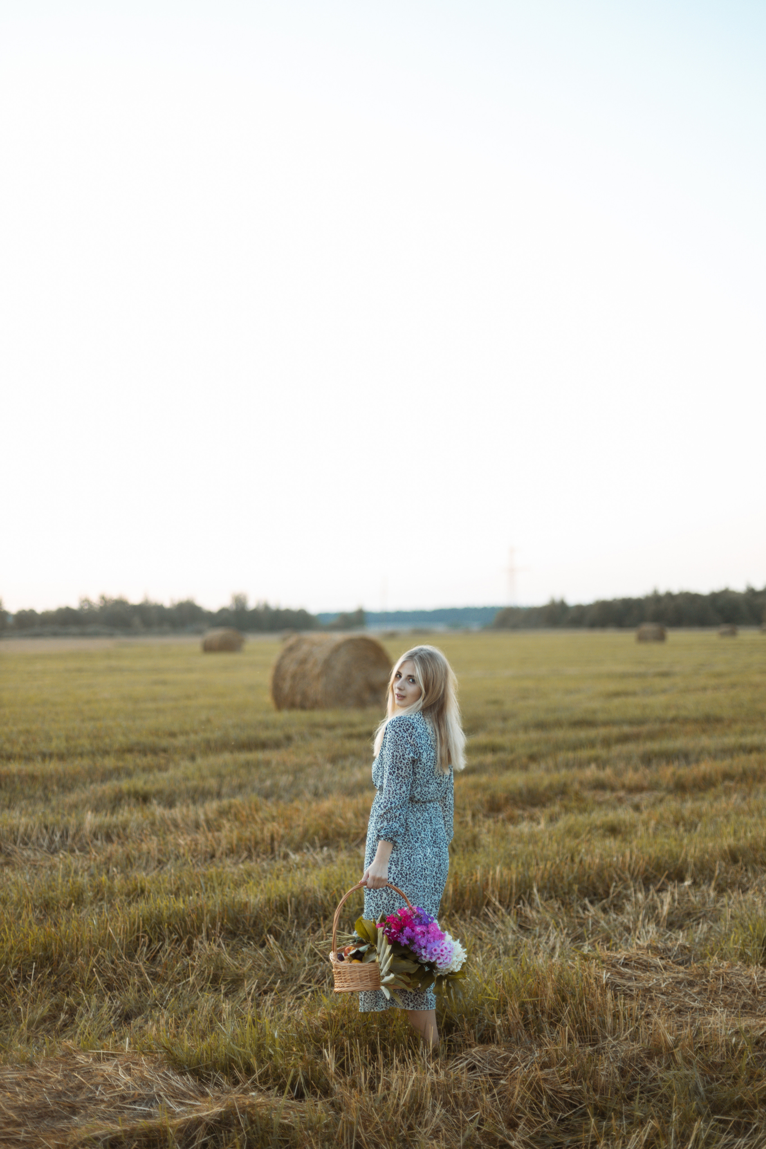 Закат в поле. Фотограф Александра Просекова