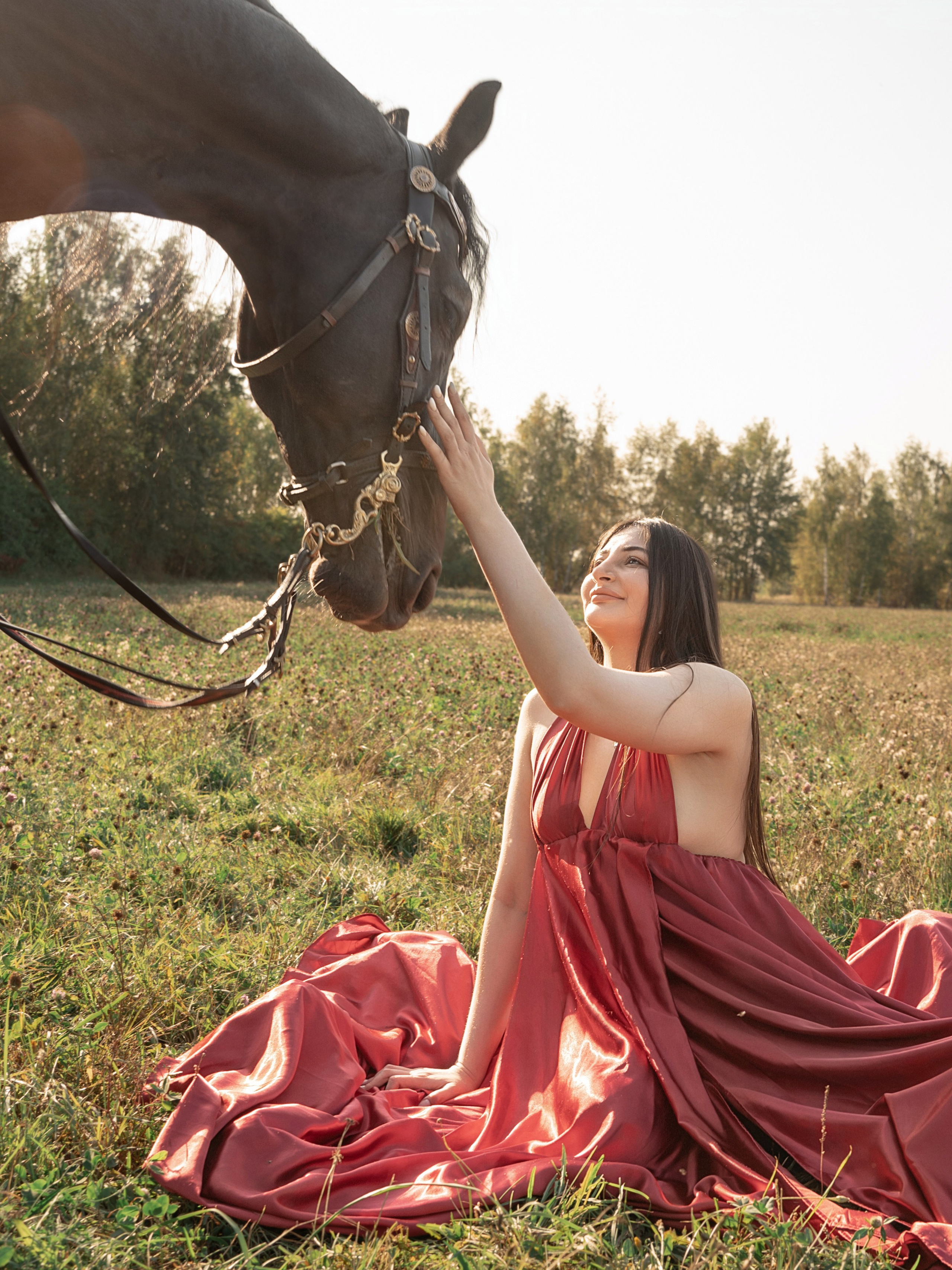 Лошадки Лето. Фотограф Зинаида Евдокимова